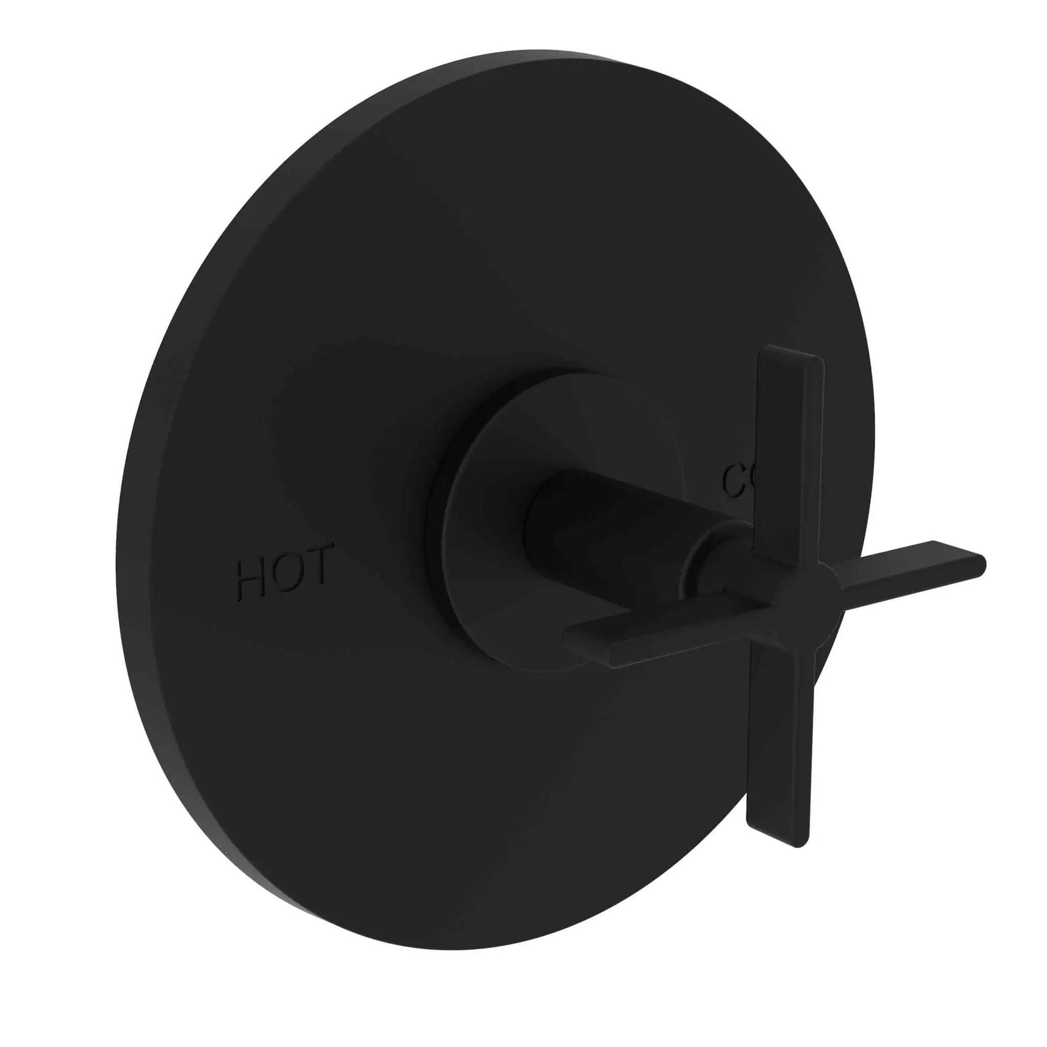 Newport Brass Tolmin Balanced Pressure Shower Trim Plate with Handle. Less showerhead, arm and flange. by Newport Brass