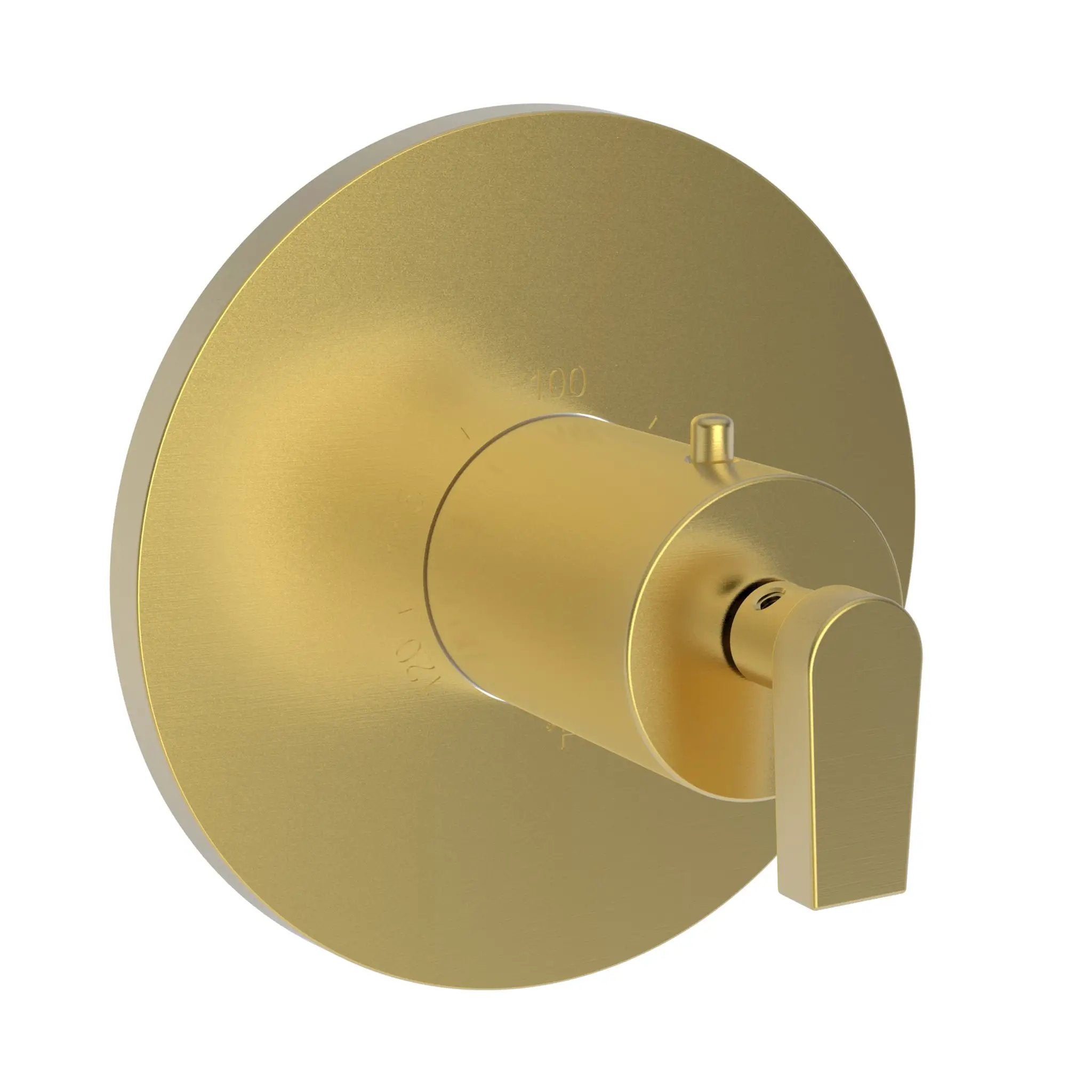 Newport Brass Dorrance 3/4" Round Thermostatic Trim Plate with Handle by Newport Brass