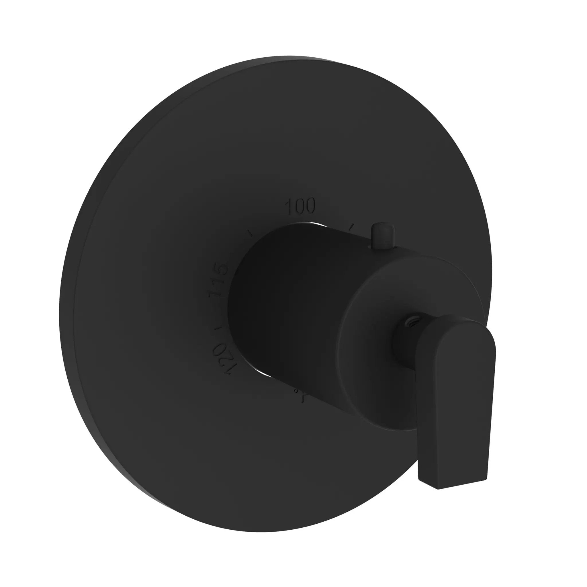 Newport Brass Dorrance 3/4" Round Thermostatic Trim Plate with Handle by Newport Brass