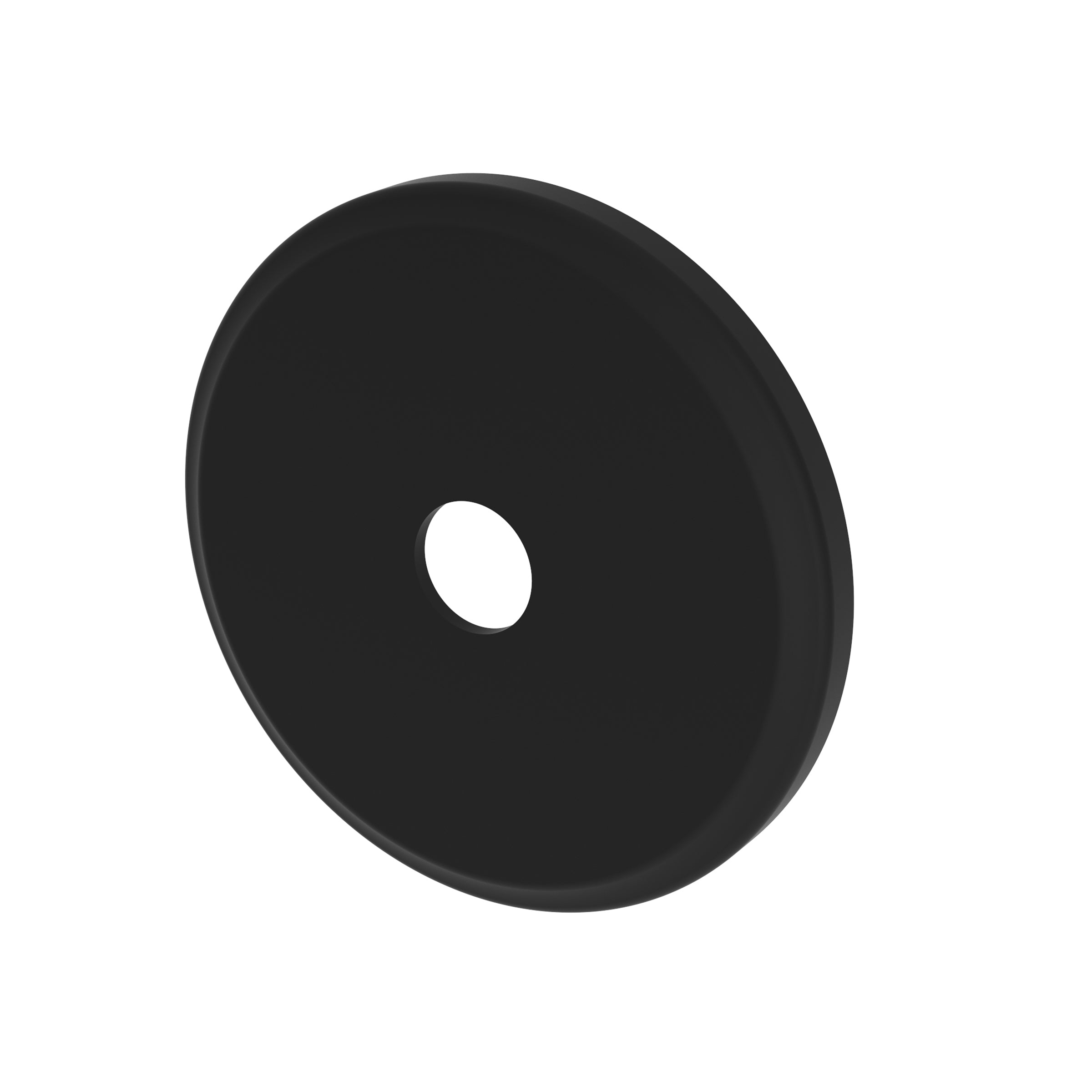 Newport Brass Tub & Shower Diverter Plate