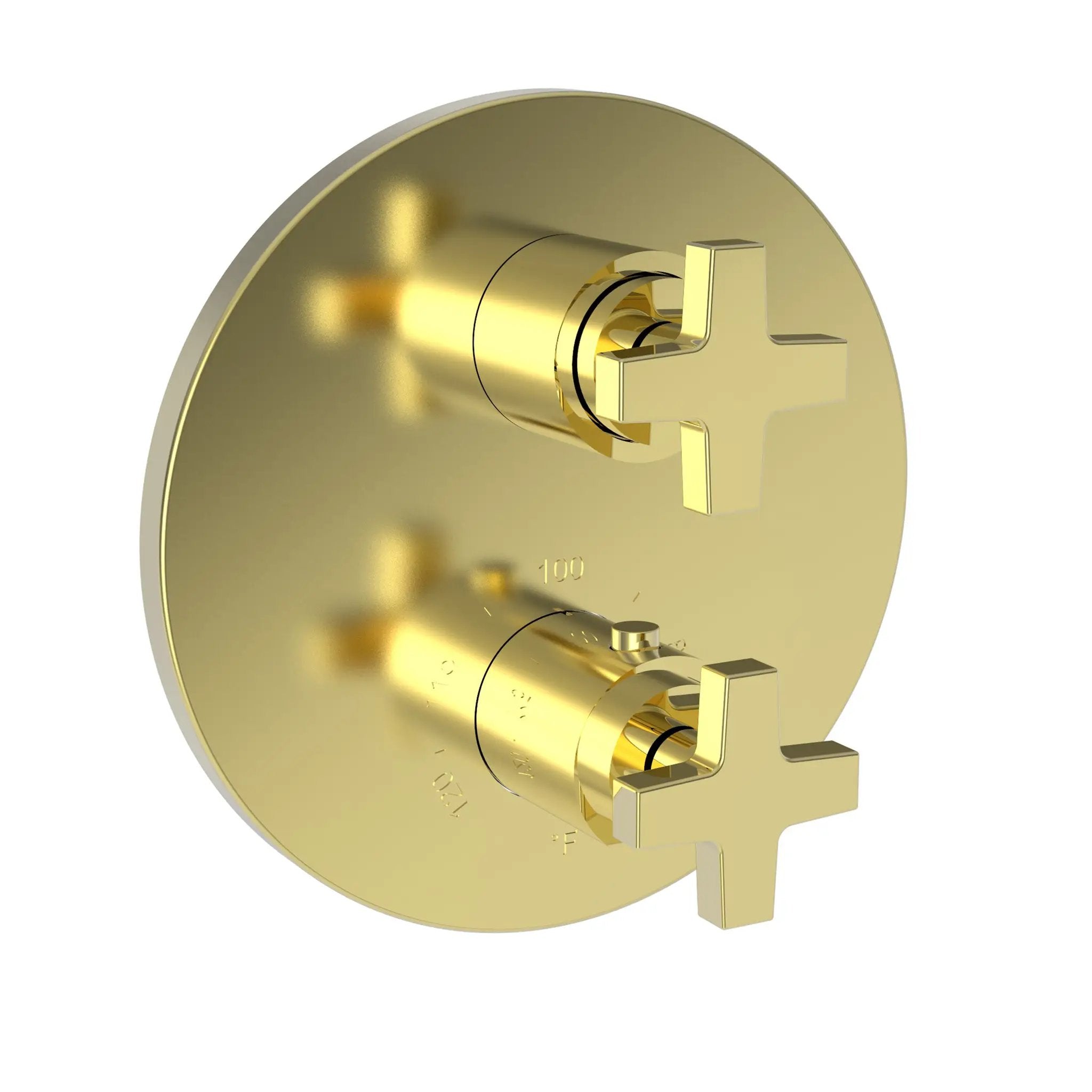 Newport Brass Dorrance 1/2" Round Thermostatic Trim Plate with Handle by Newport Brass