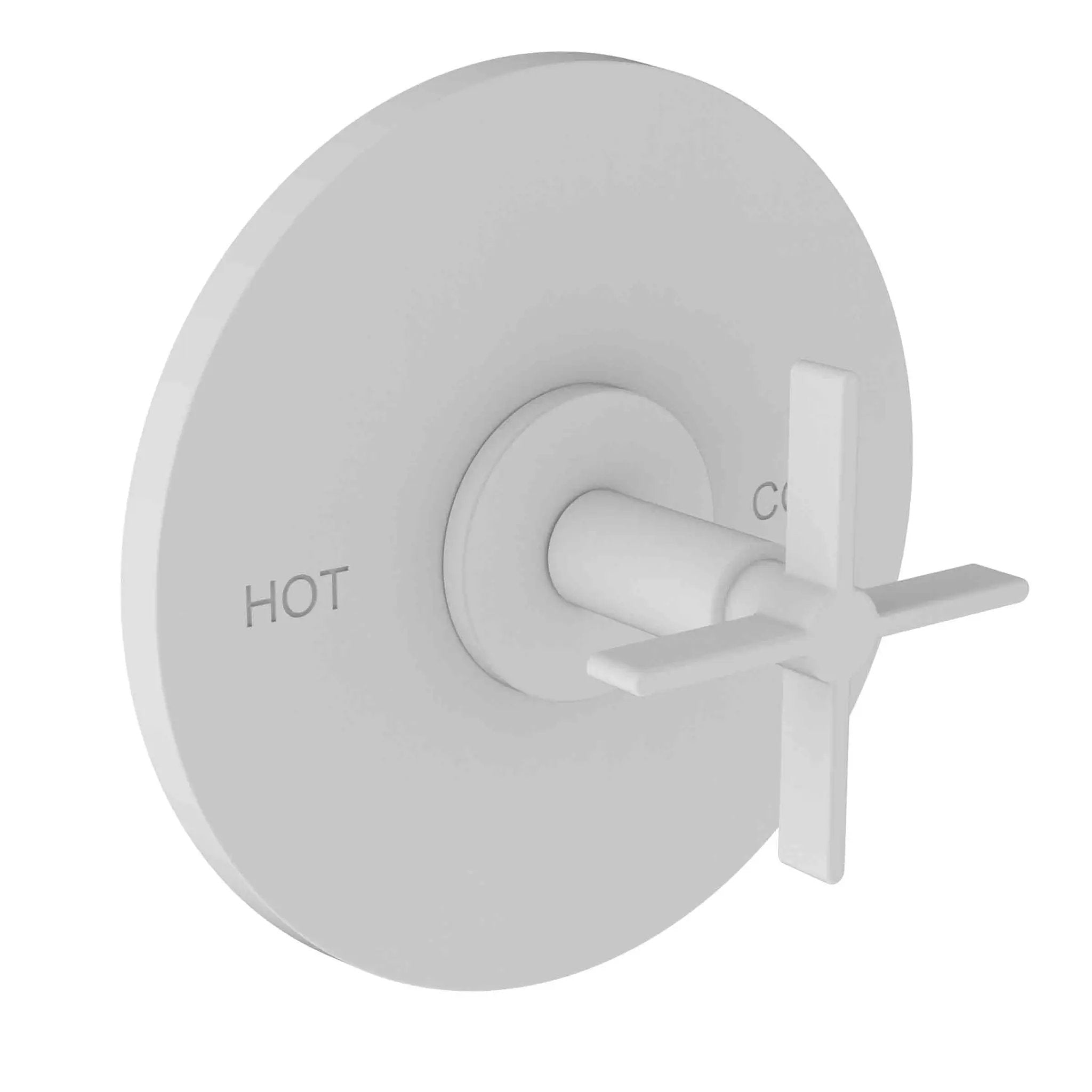 Newport Brass Tolmin Balanced Pressure Shower Trim Plate with Handle. Less showerhead, arm and flange. by Newport Brass