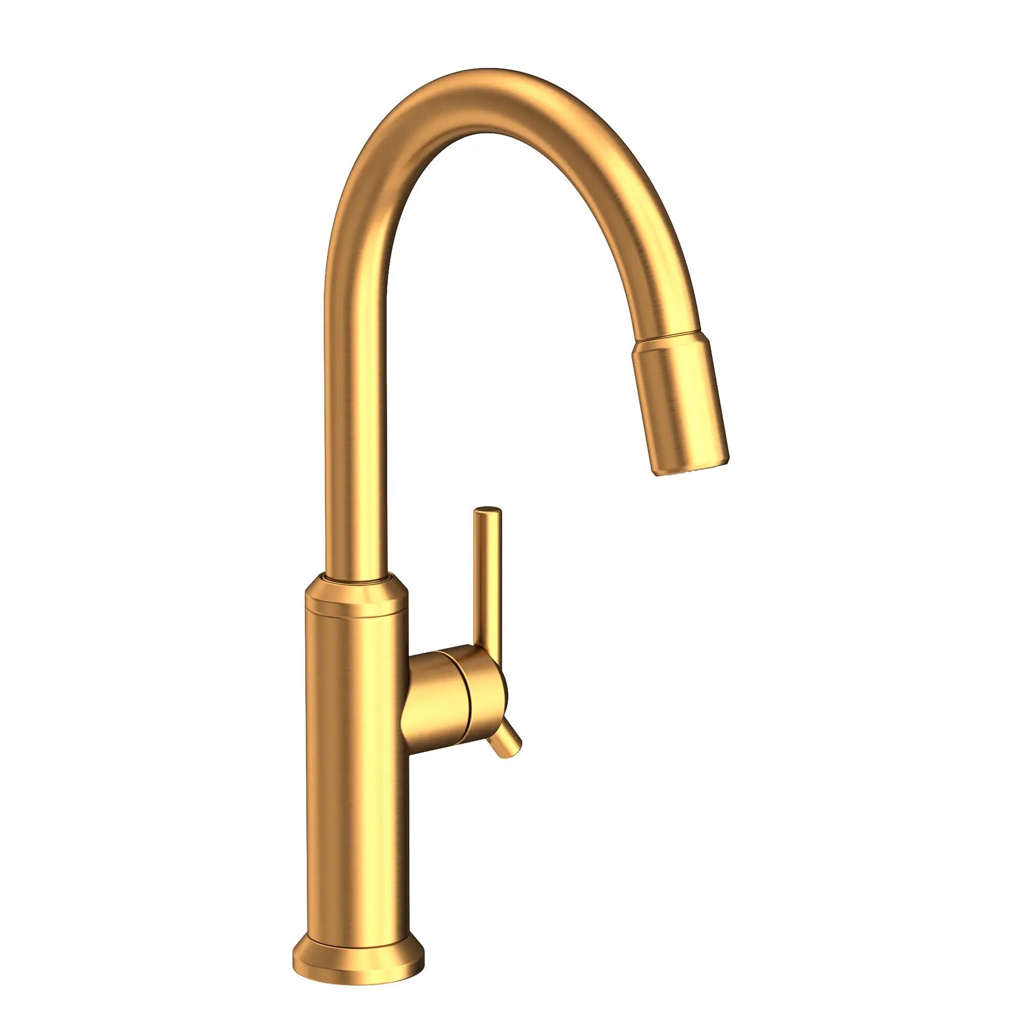Newport Brass Jeter Pull-down Kitchen Faucet by Newport Brass