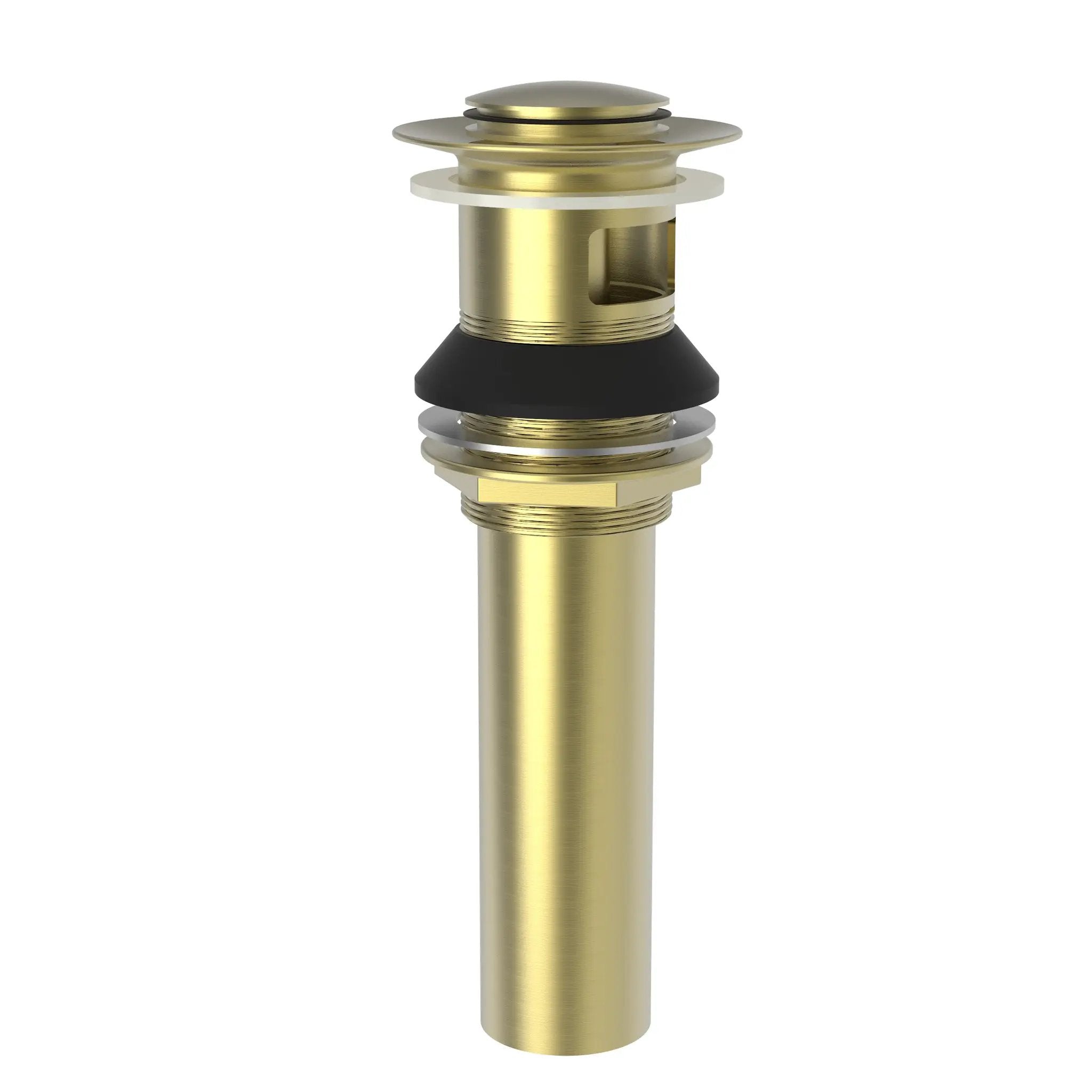 Newport Brass Brasstech Lavatory Drain by Newport Brass