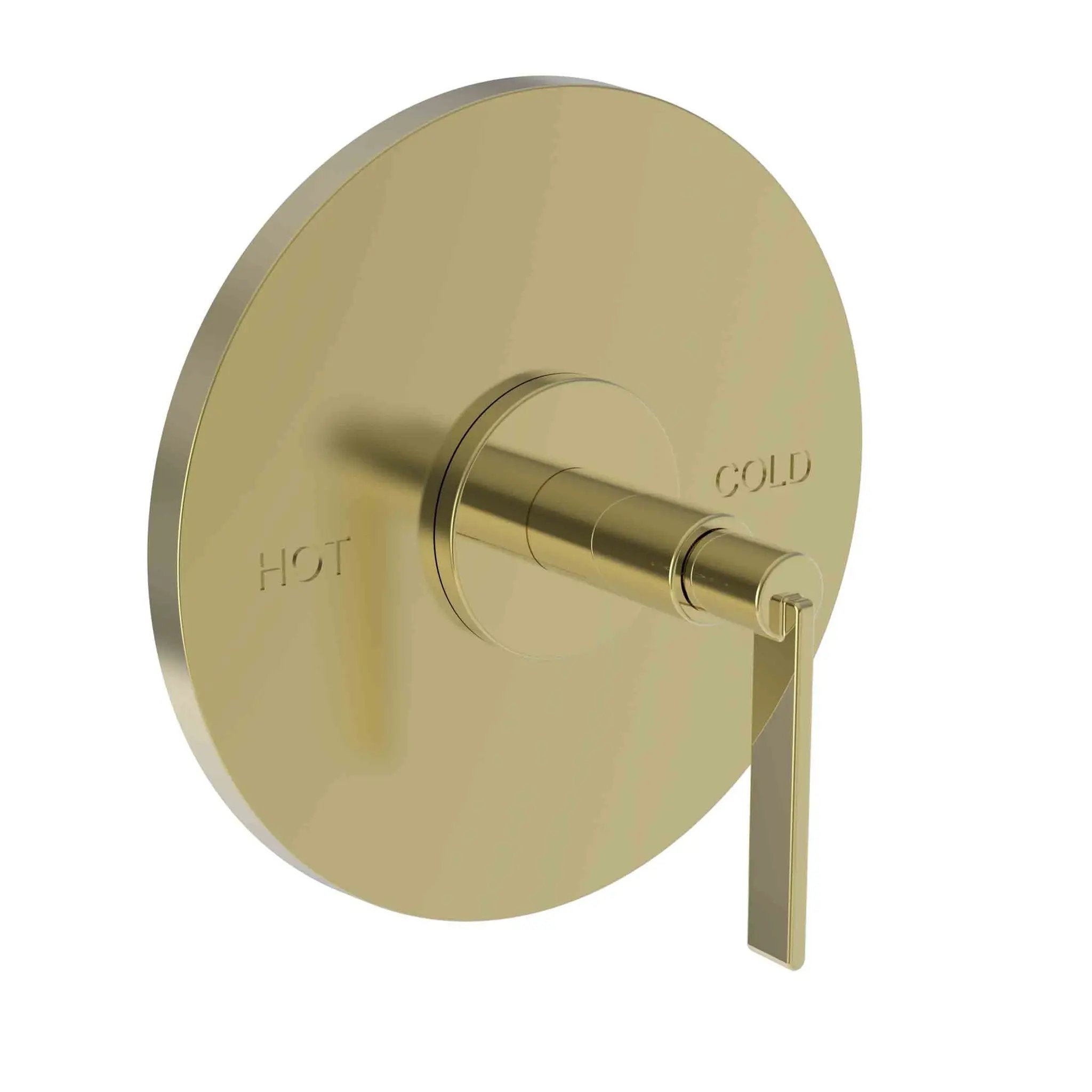 Newport Brass Tolmin Balanced Pressure Shower Trim Plate with Handle. Less showerhead, arm and flange. by Newport Brass