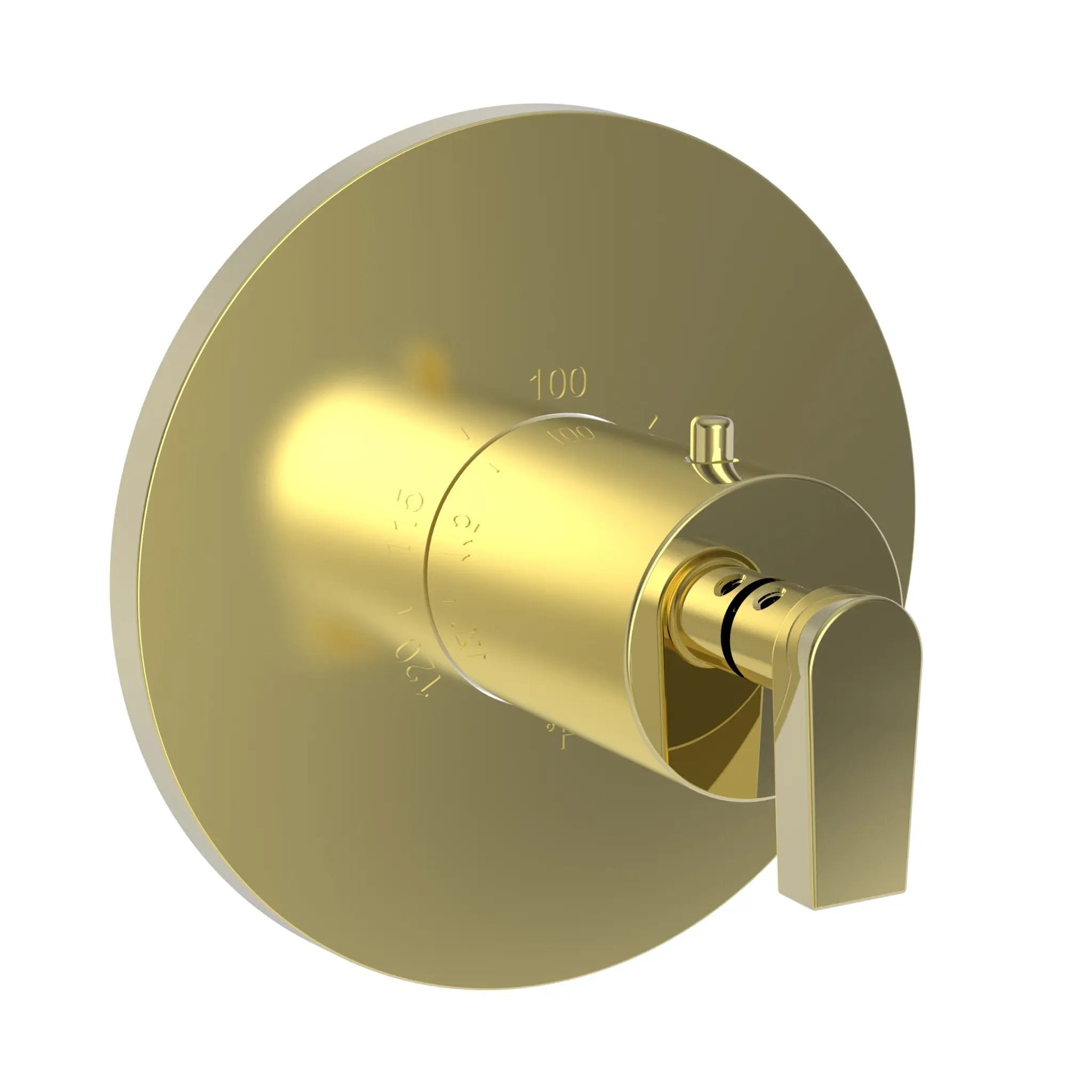 Newport Brass Dorrance 3/4" Round Thermostatic Trim Plate with Handle by Newport Brass