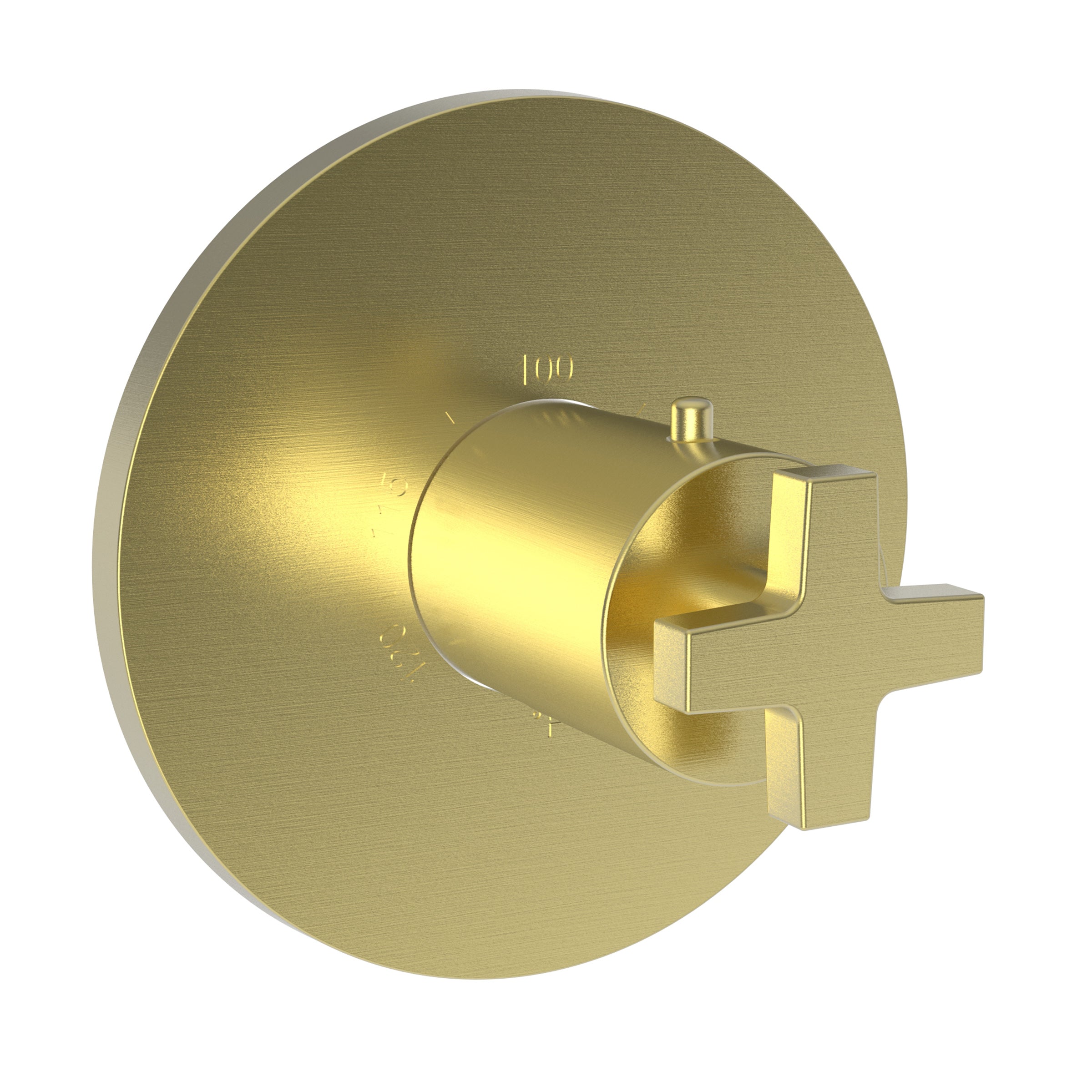 Newport Brass Dorrance 3/4" Round Thermostatic Trim Plate with Handle