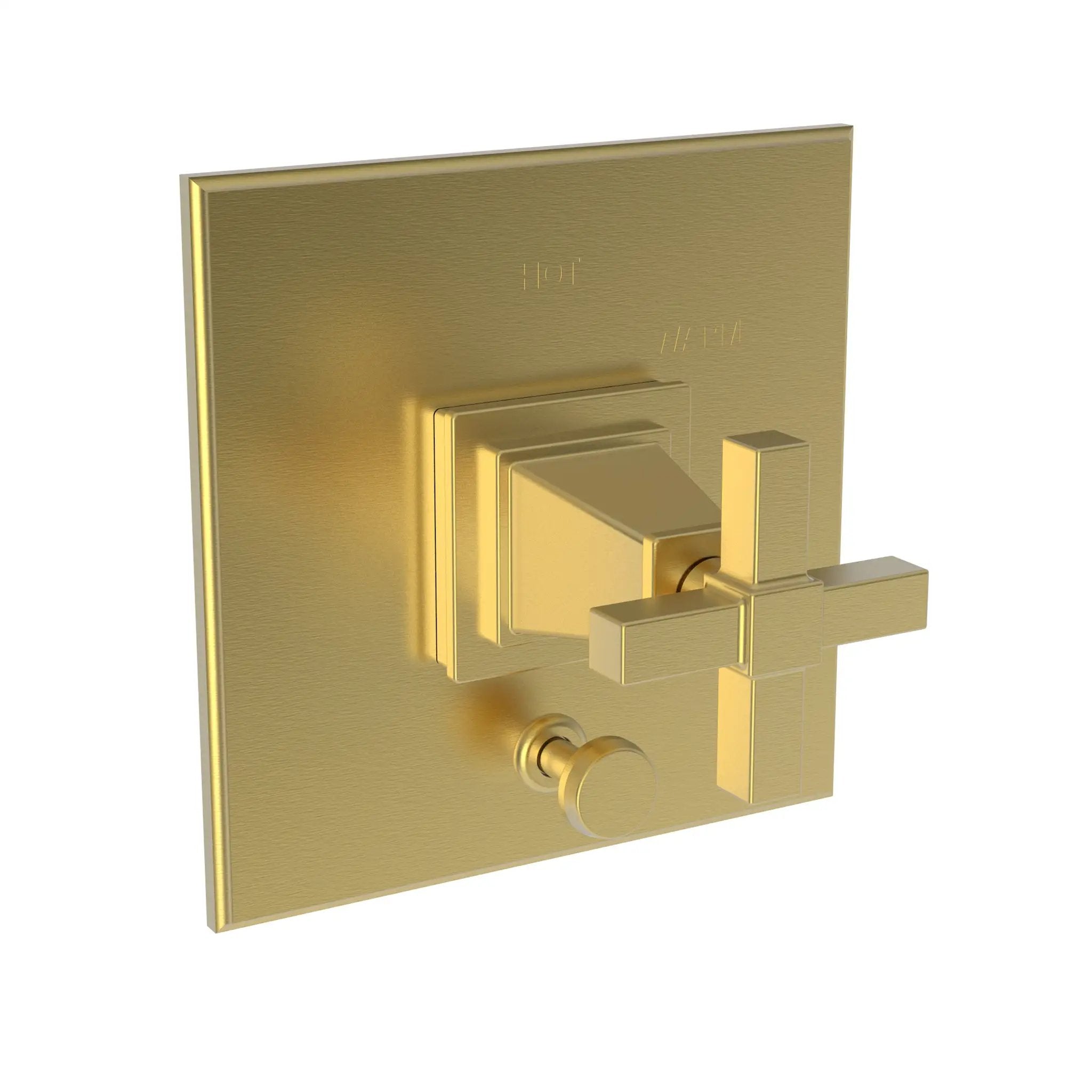 Newport Brass Malvina Balanced Pressure Tub & Shower Diverter Plate with Handle by Newport Brass
