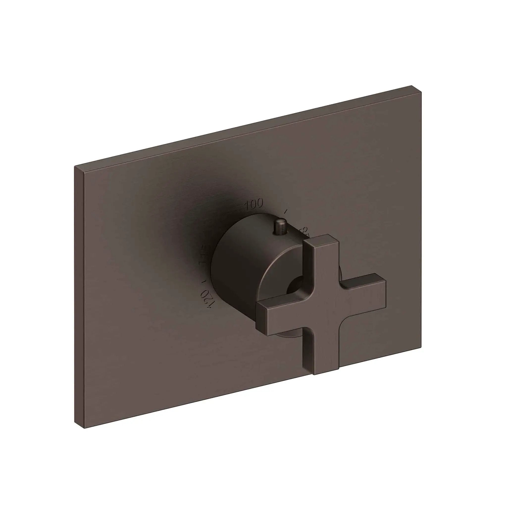 Newport Brass Secant 3/4" Rectangular Thermostatic Trim Plate with Handle by Newport Brass