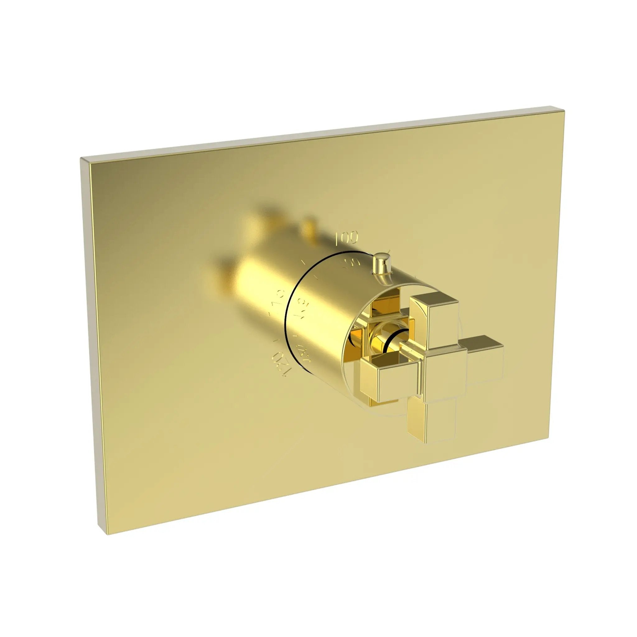 Newport Brass Malvina 3/4" Square Thermostatic Trim Plate with Handle by Newport Brass