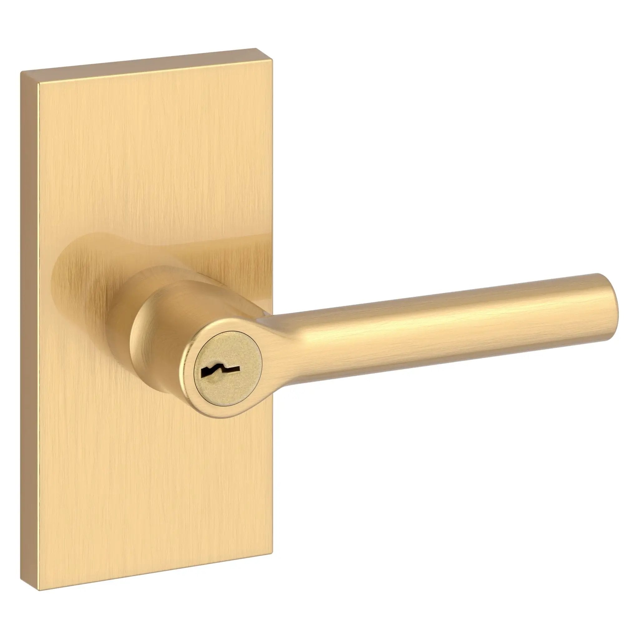 Baldwin Reserve Tube Lever and Contemporary 5" Rose by Baldwin