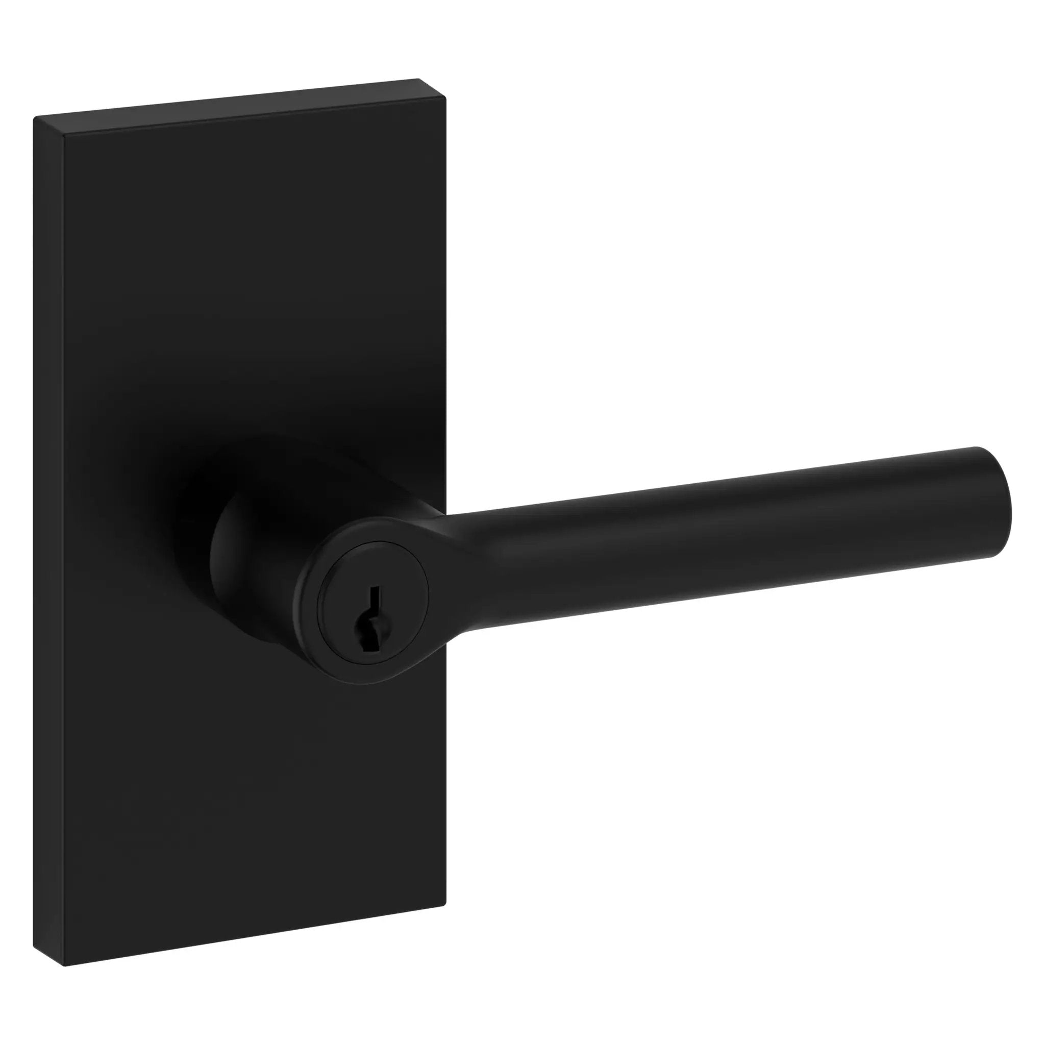 Baldwin Reserve Tube Lever and Contemporary 5" Rose by Baldwin