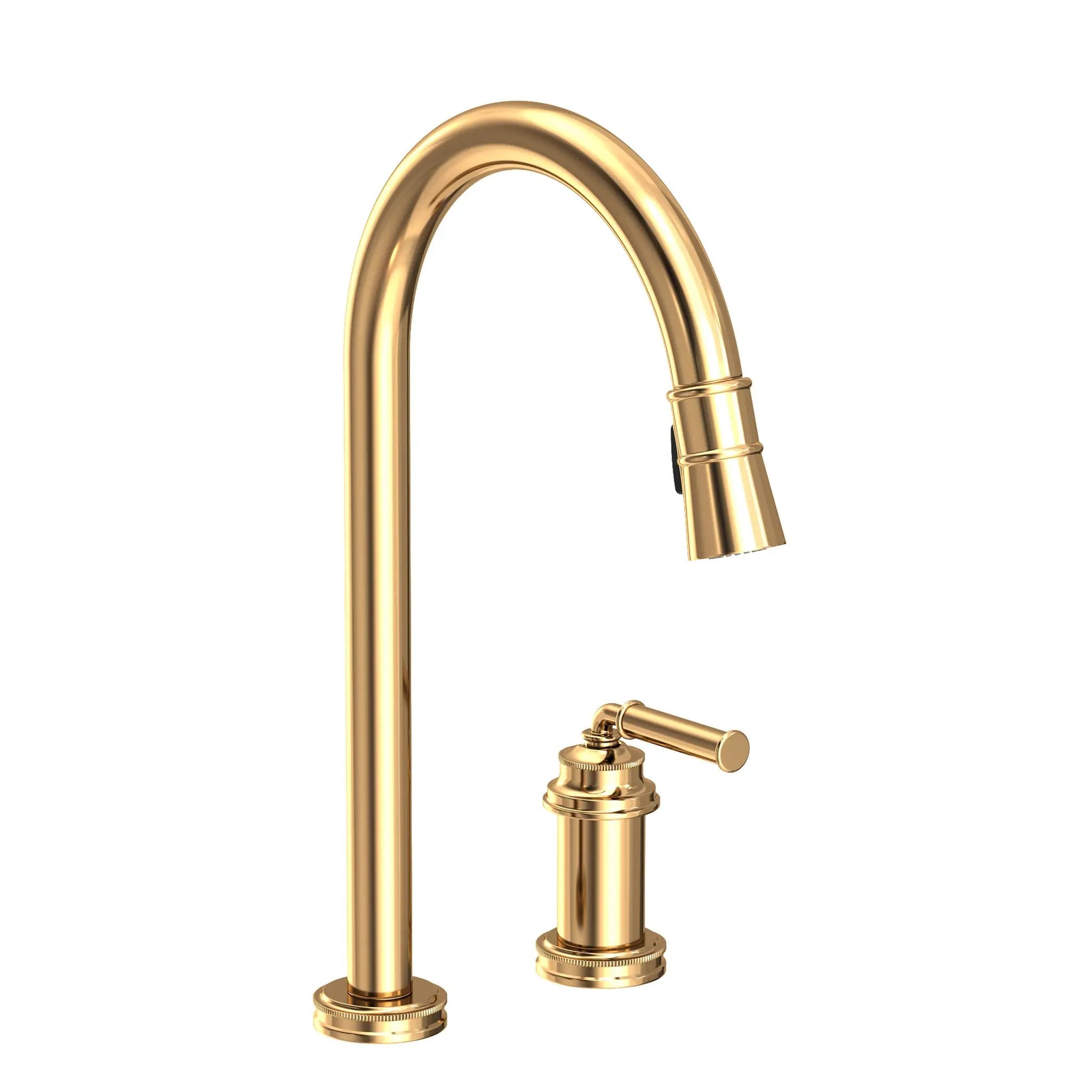 Newport Brass Taft Pull-down Kitchen Faucet by Newport Brass