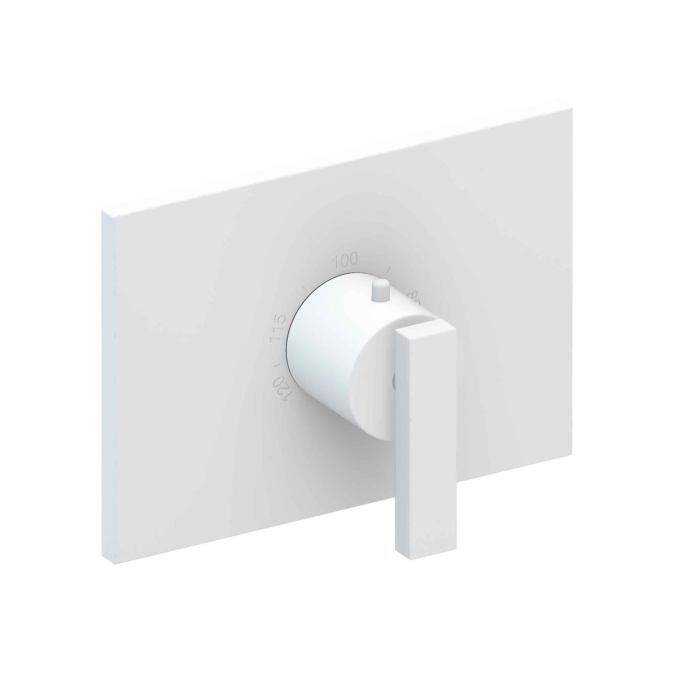 Newport Brass Secant 3/4" Rectangular Thermostatic Trim Plate with Handle