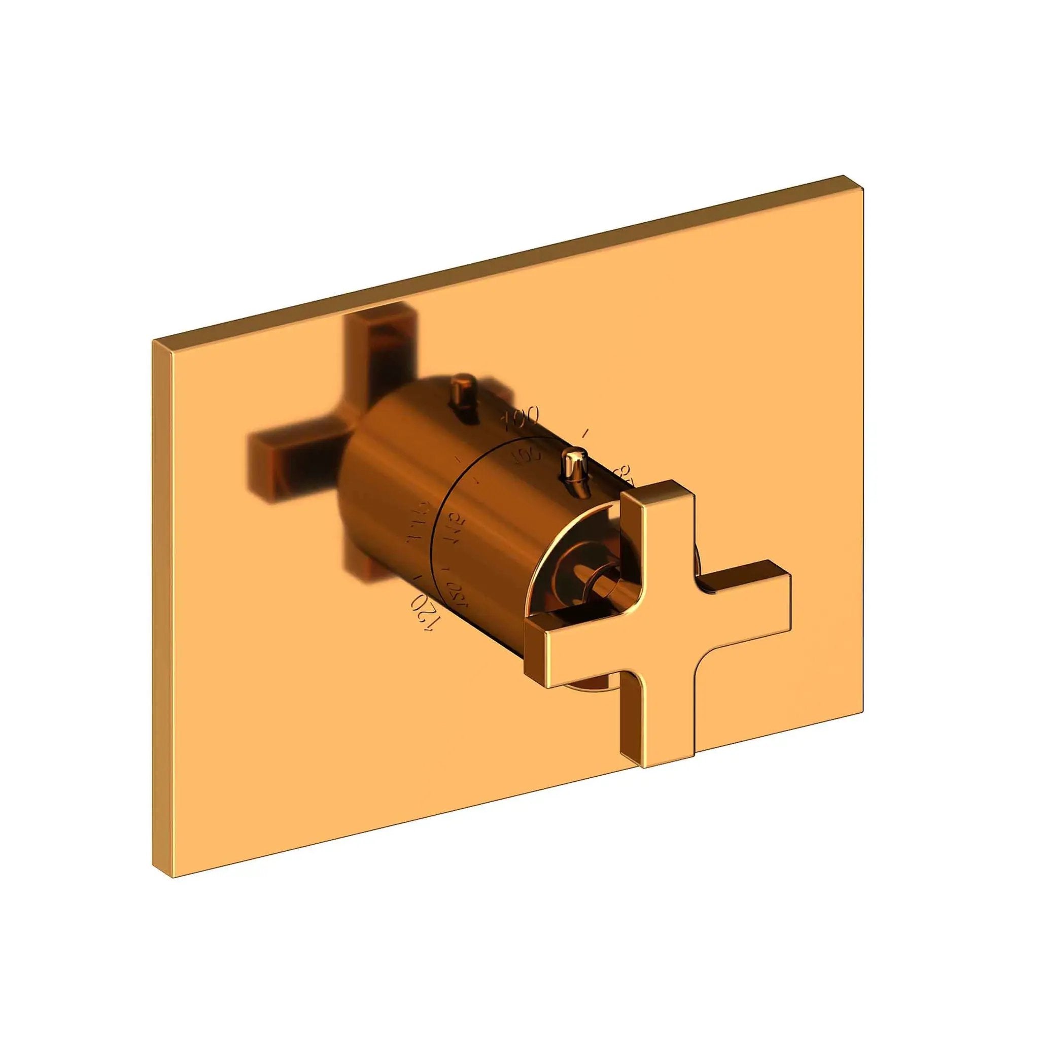 Newport Brass Secant 3/4" Rectangular Thermostatic Trim Plate with Handle by Newport Brass