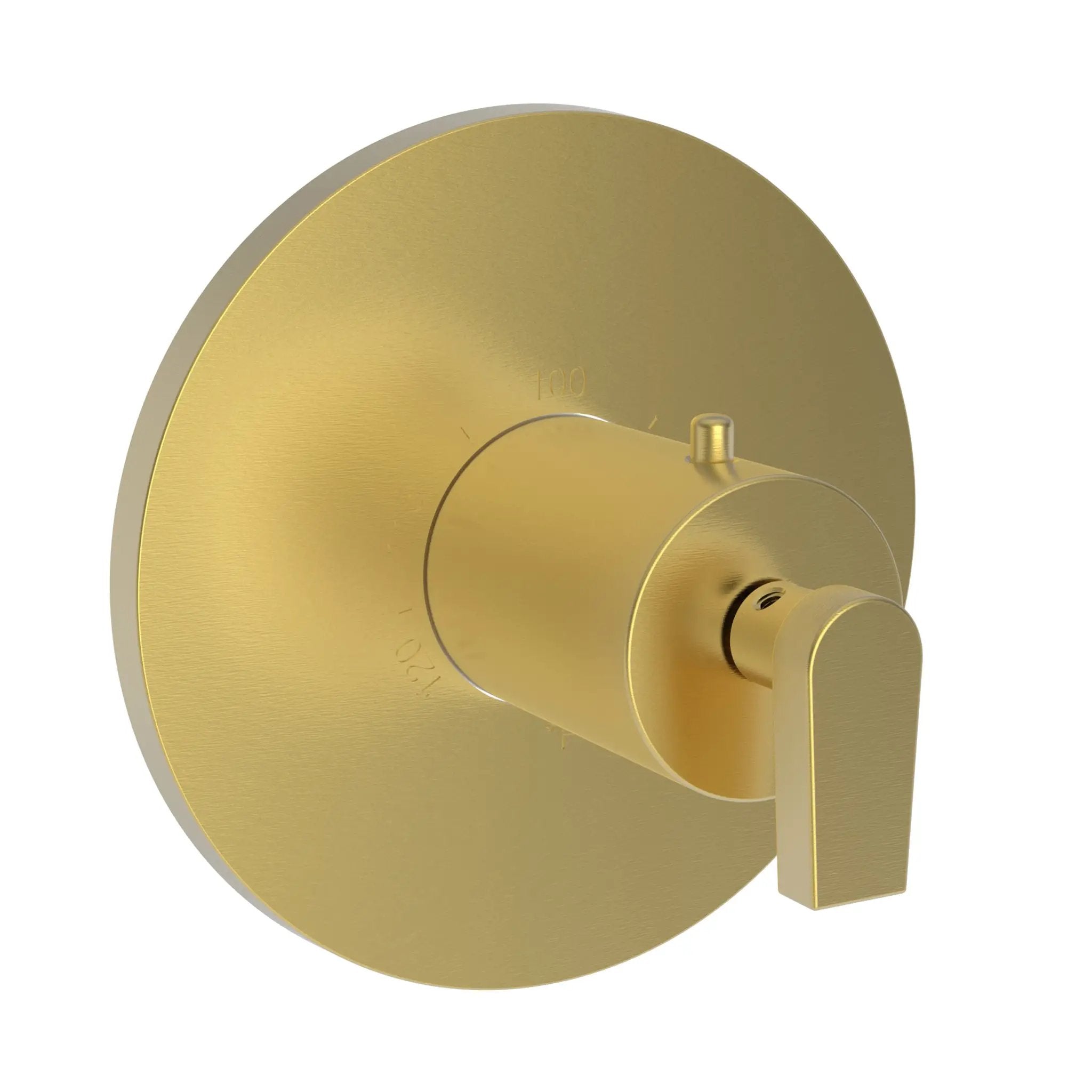 Newport Brass Dorrance 3/4" Round Thermostatic Trim Plate with Handle by Newport Brass