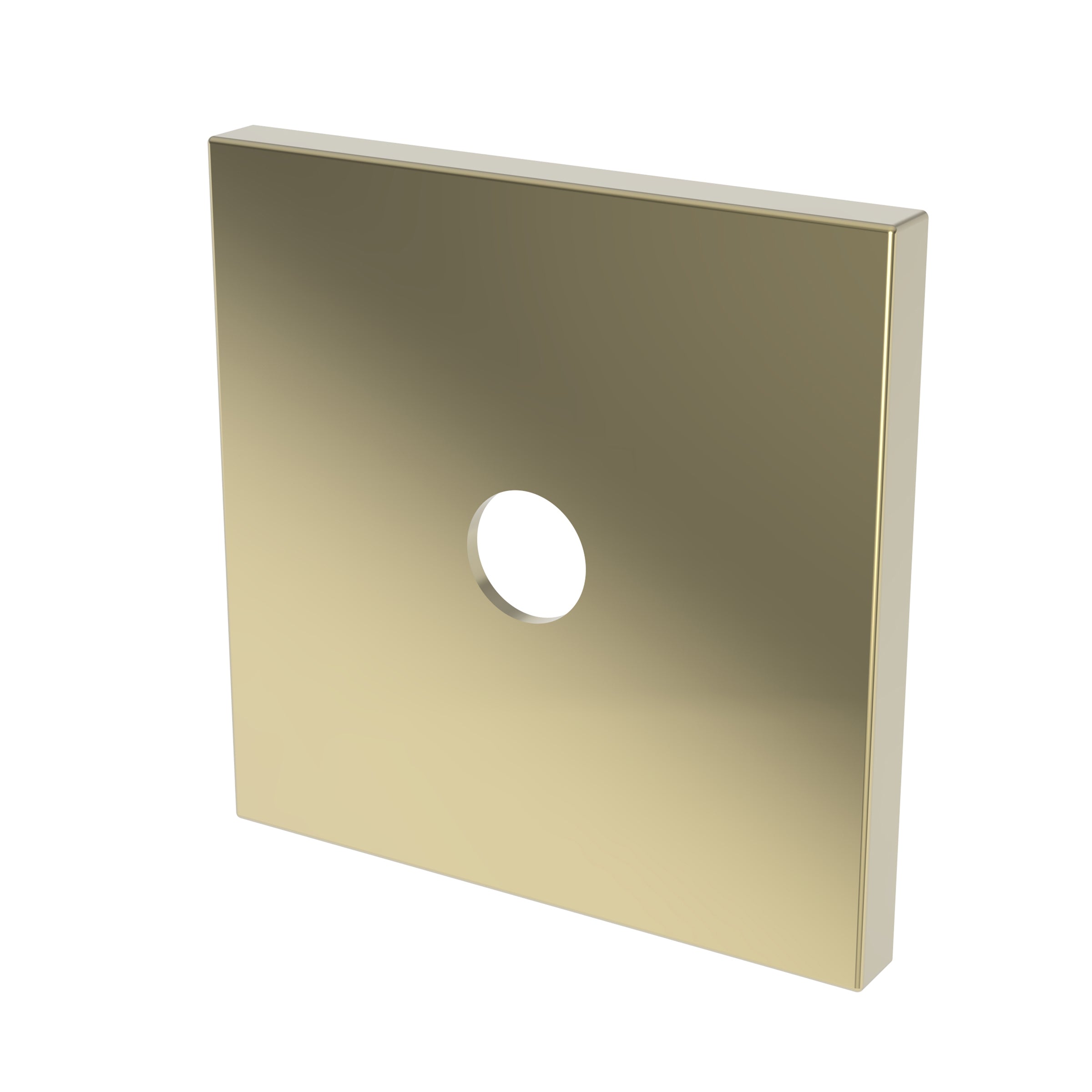 Newport Brass Tub & Shower Diverter Plate