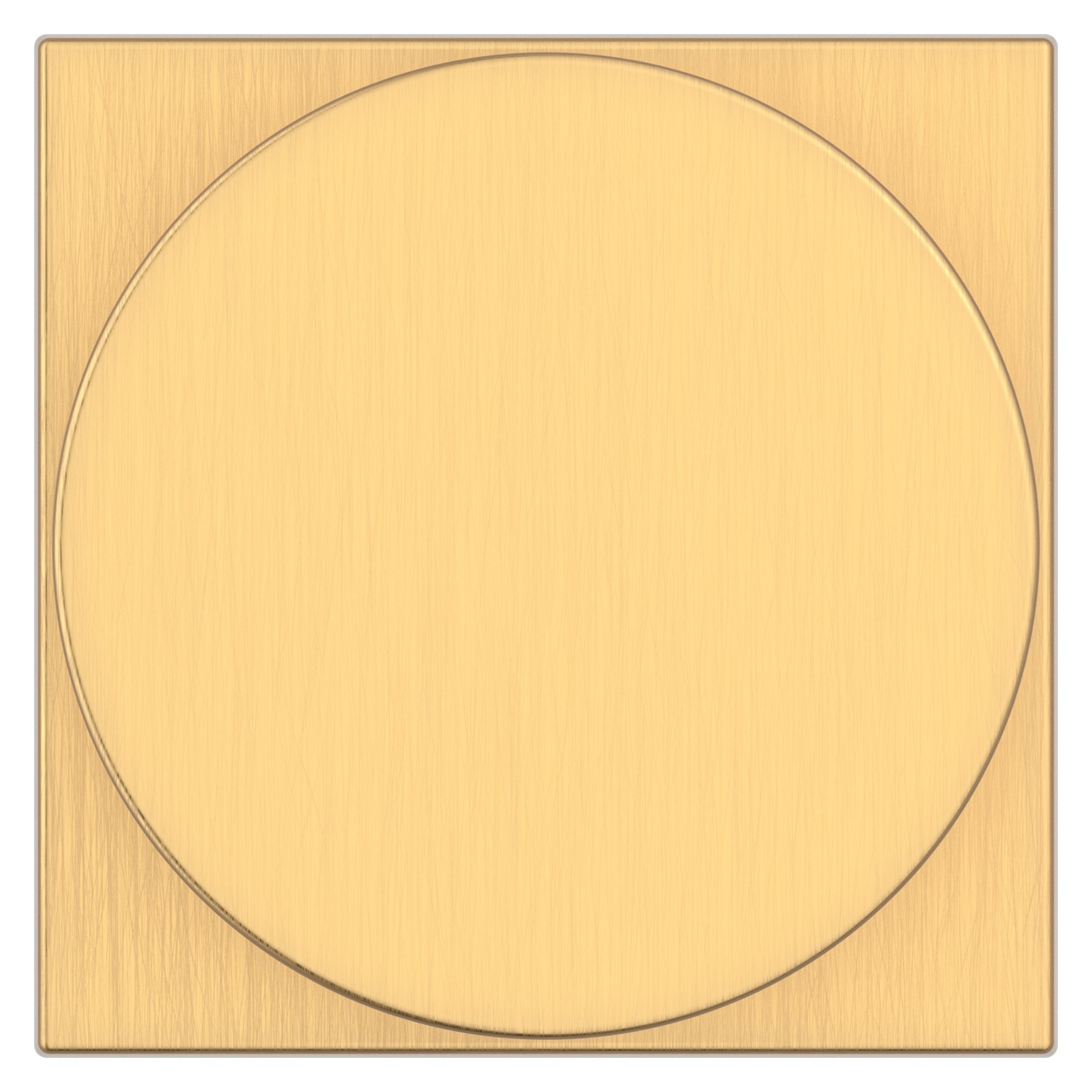 satin brass door knob