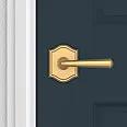 satin brass door lever