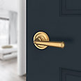 satin brass door lever
