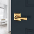 satin brass door lever