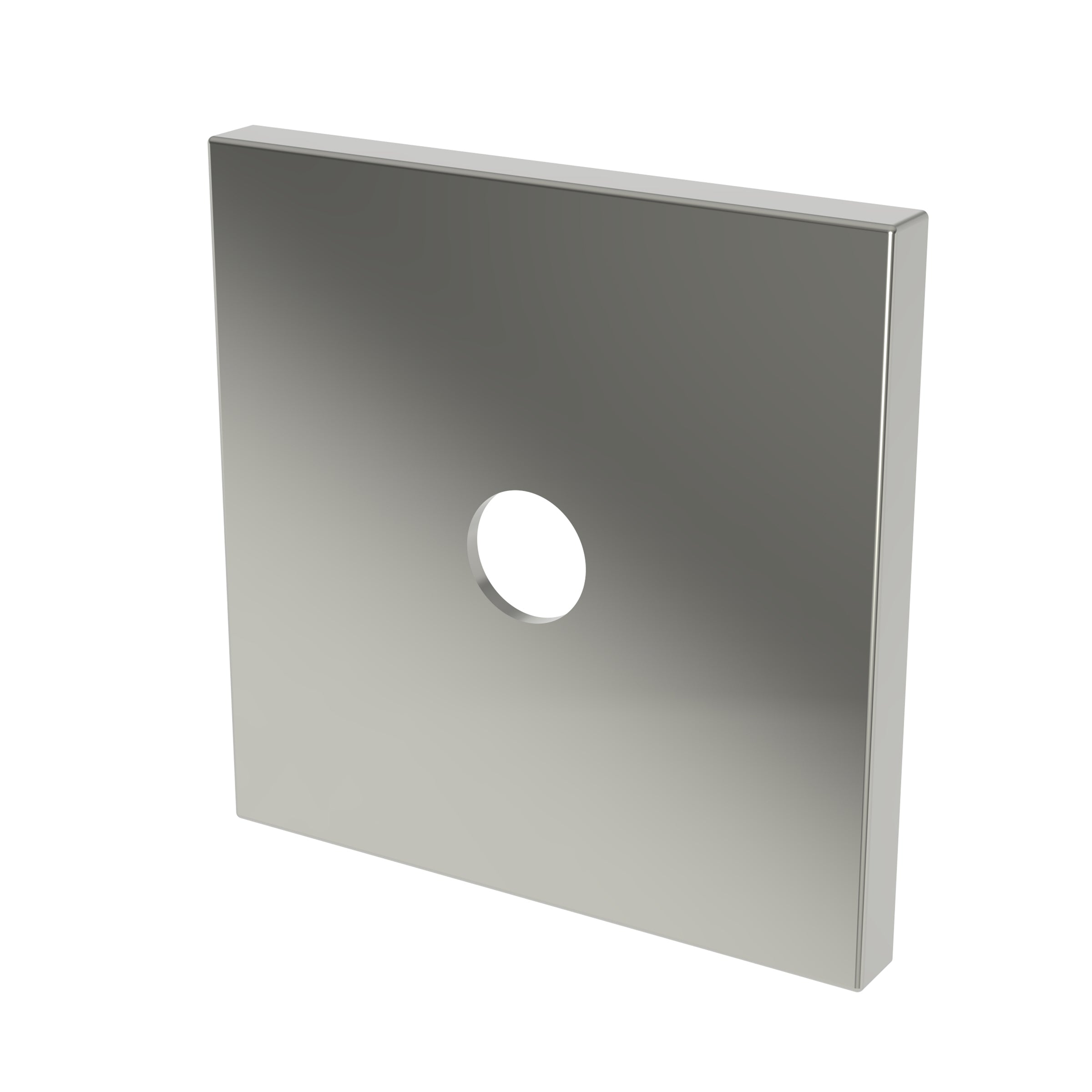 Newport Brass Tub & Shower Diverter Plate