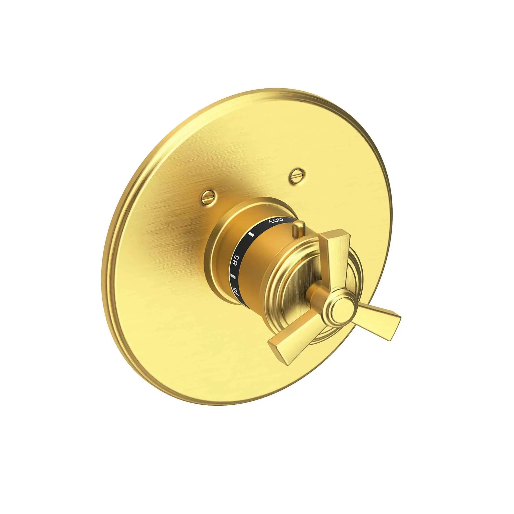 Newport Brass Miro 3/4" Round Thermostatic Trim Plate with Handle by Newport Brass