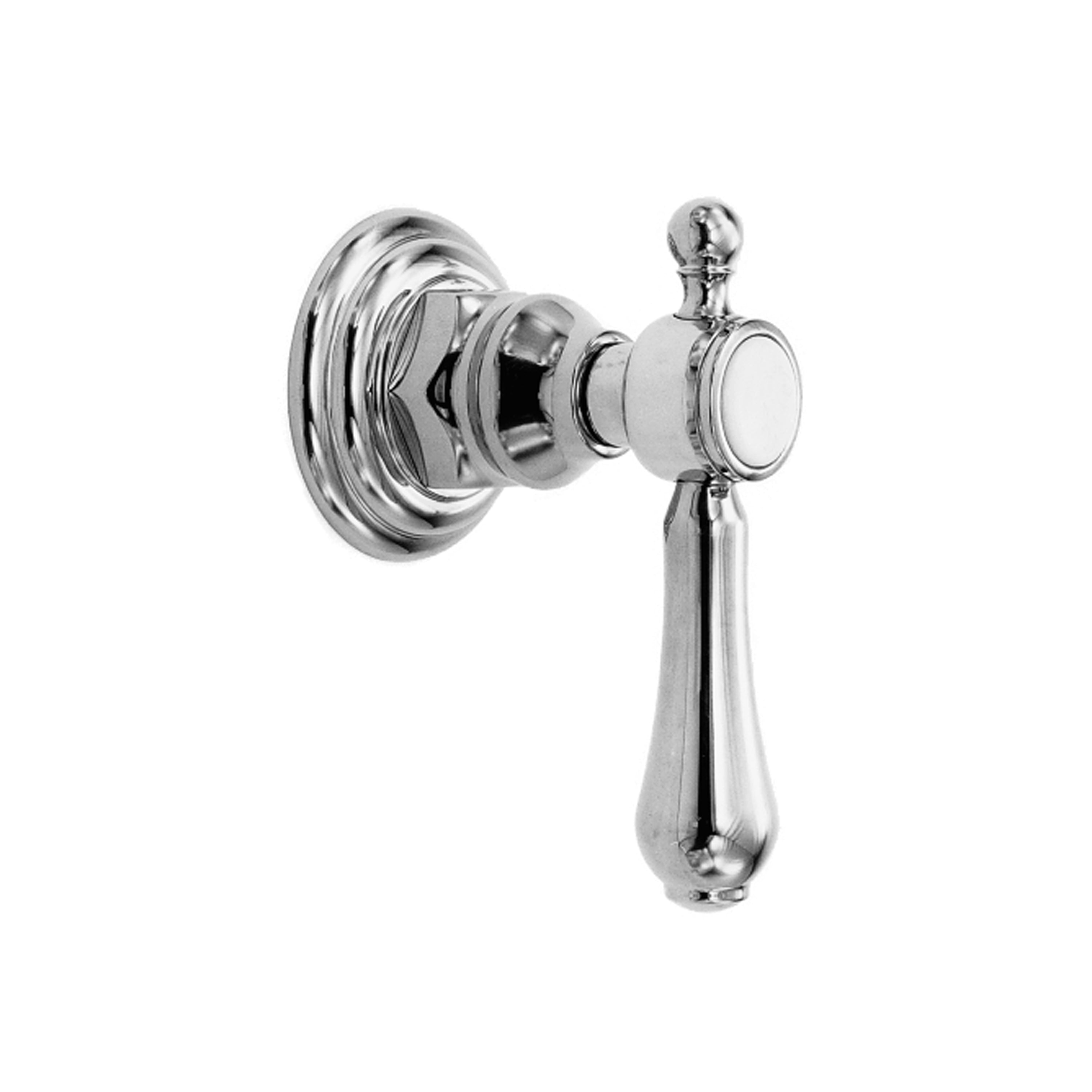 polished chrome control handle