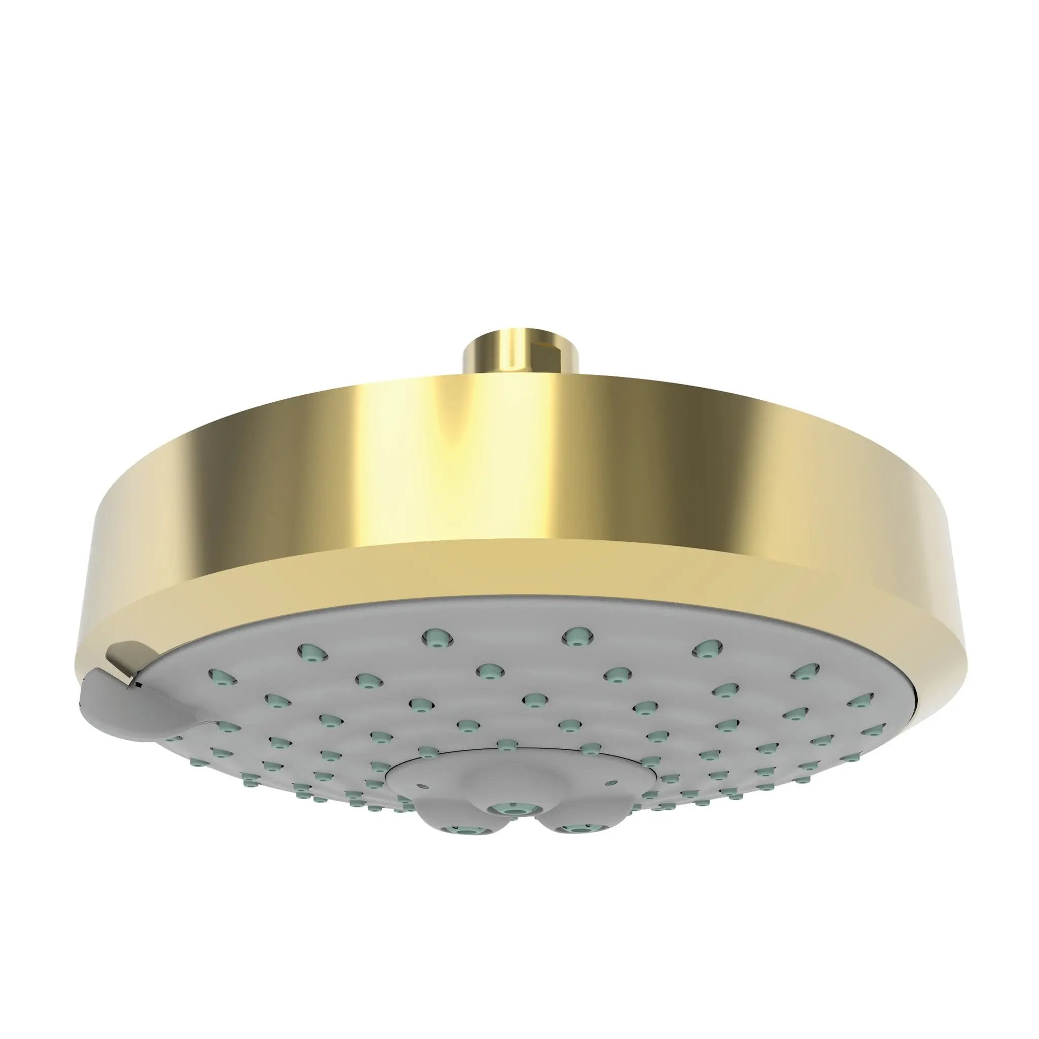 Newport Brass Tub & Shower Multifunction Showerhead by Newport Brass