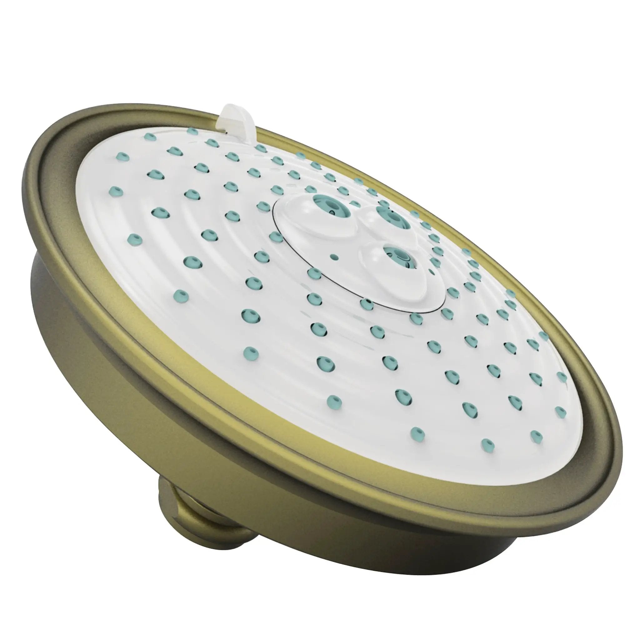 Newport Brass Tub & Shower Multifunction Showerhead by Newport Brass