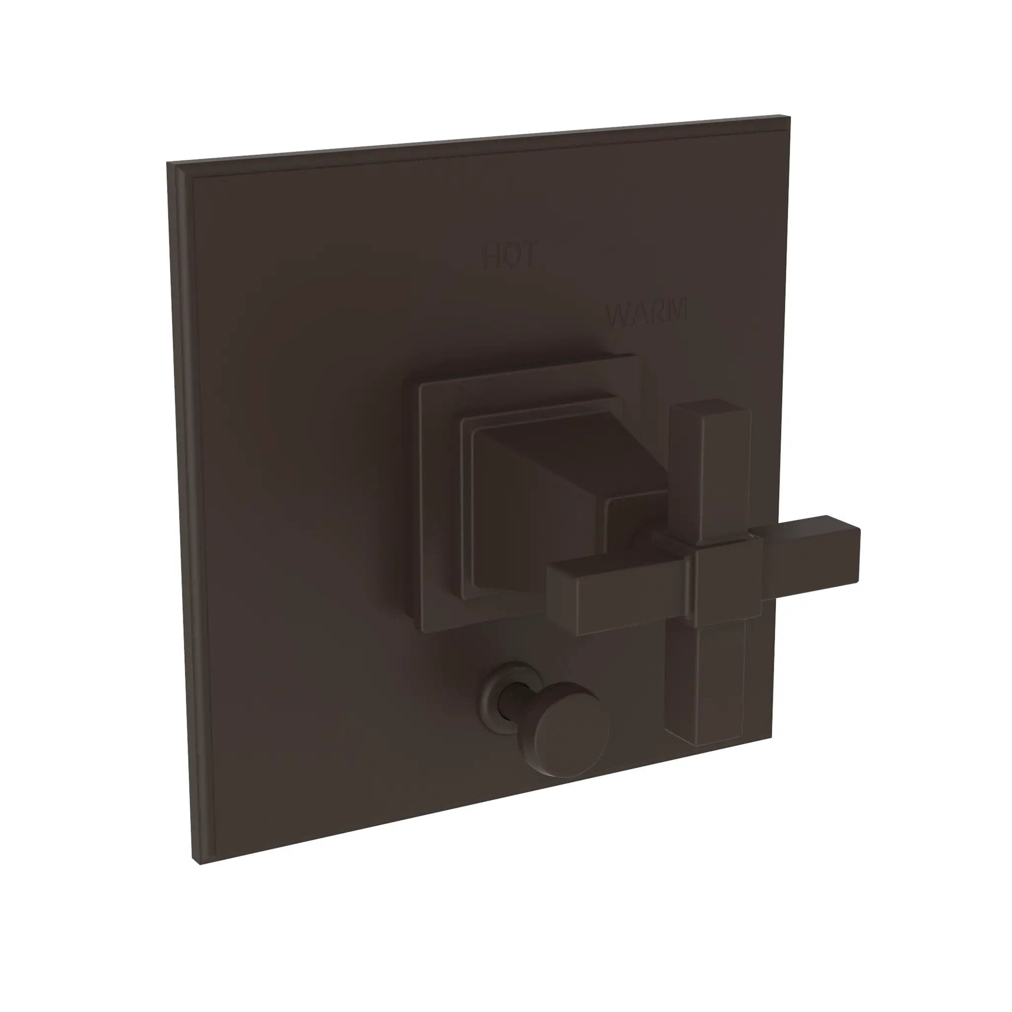 Newport Brass Malvina Balanced Pressure Tub & Shower Diverter Plate with Handle by Newport Brass