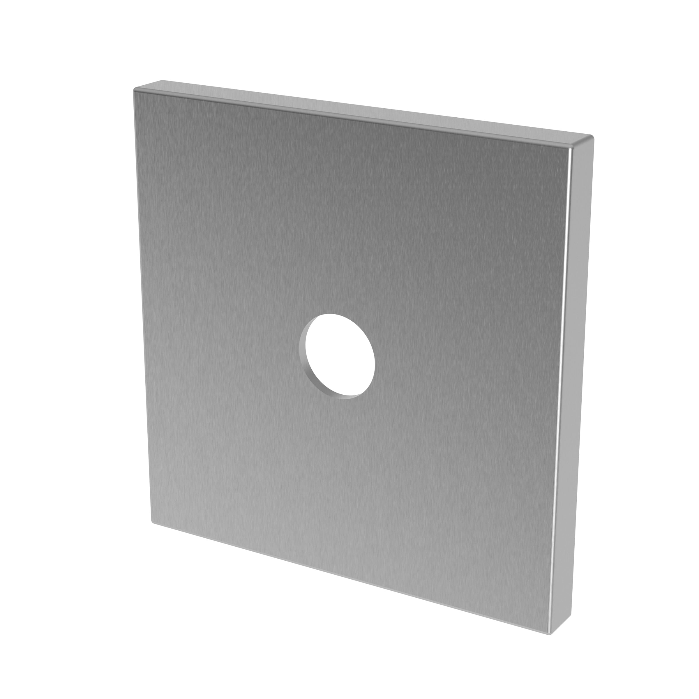 Newport Brass Tub & Shower Diverter Plate