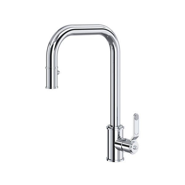 polished chrome kitchen faucet