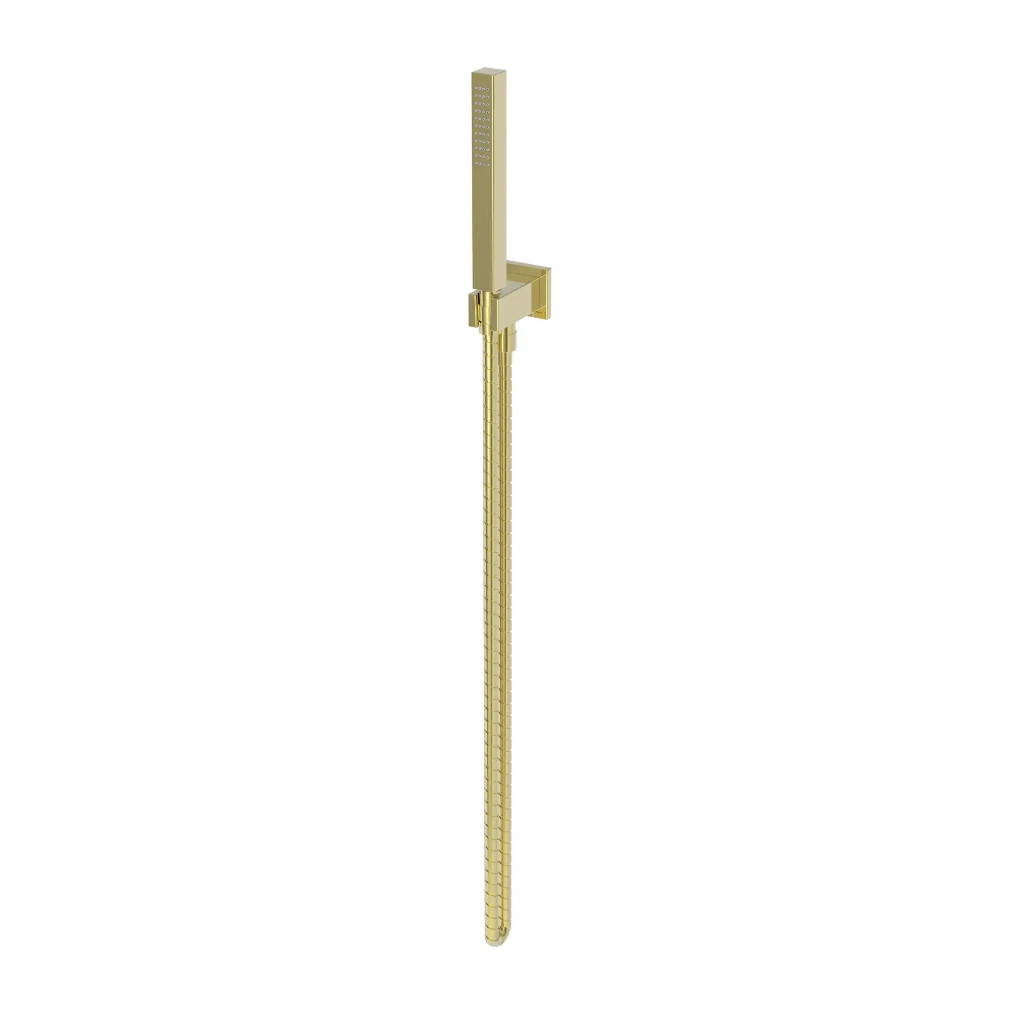 Newport Brass Tub & Shower Single Function Hand Shower Set by Newport Brass