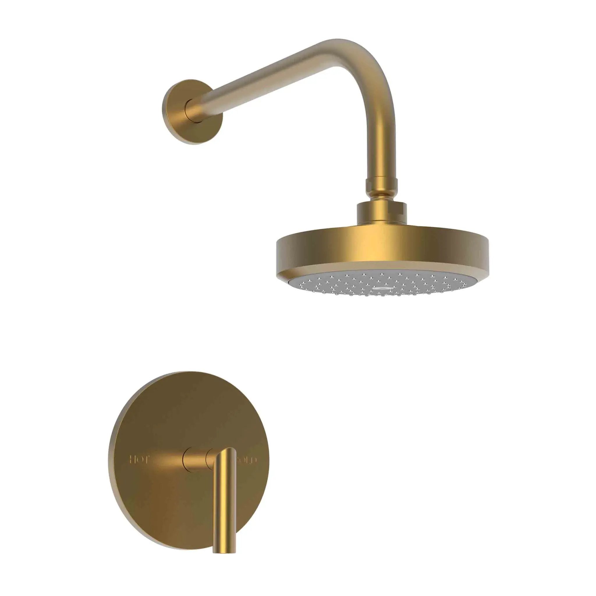 Newport Brass Pavani Balanced Pressure Shower Trim Set by Newport Brass