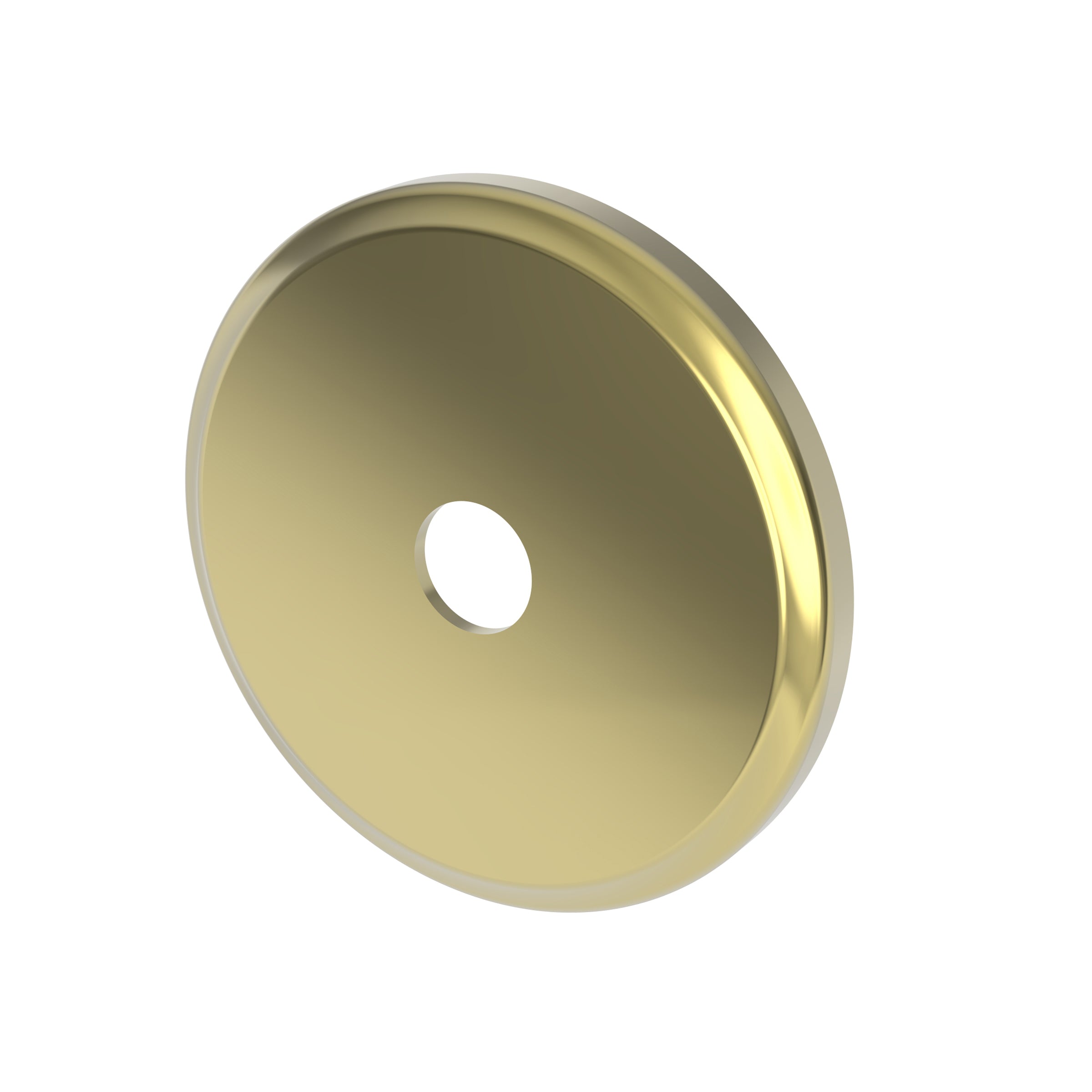 Newport Brass Tub & Shower Diverter Plate