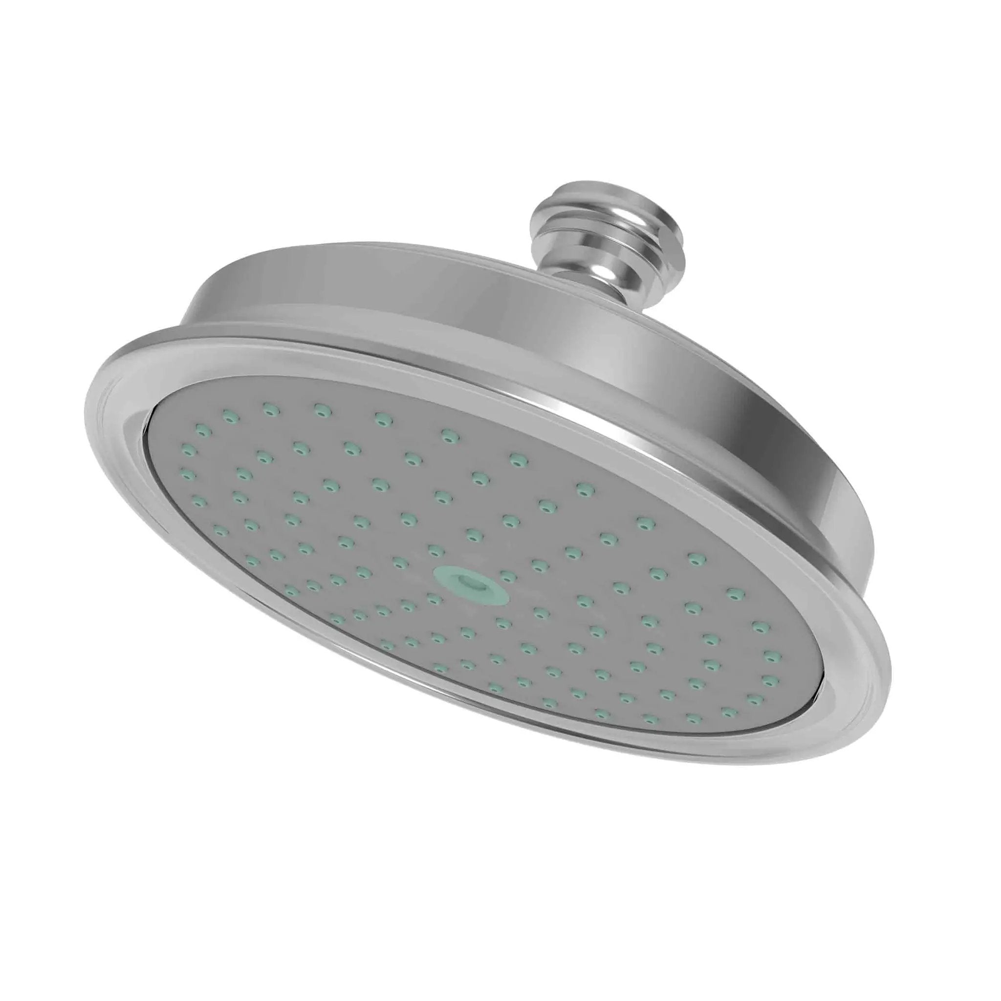 polished chrome shower head