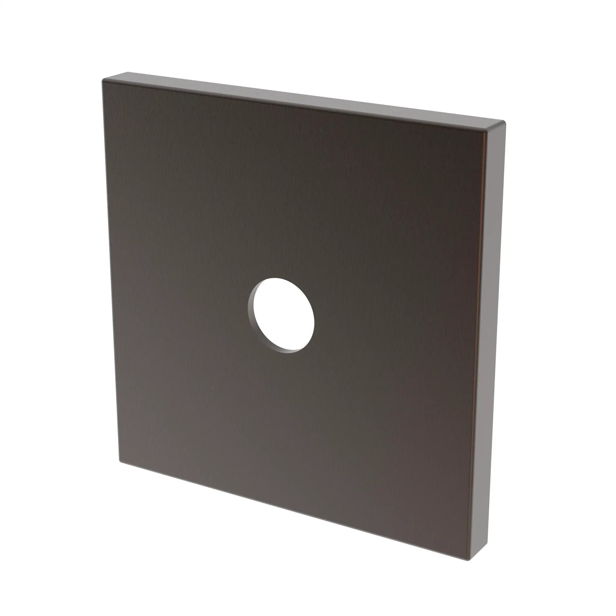 Newport Brass Tub & Shower Diverter Plate by Newport Brass