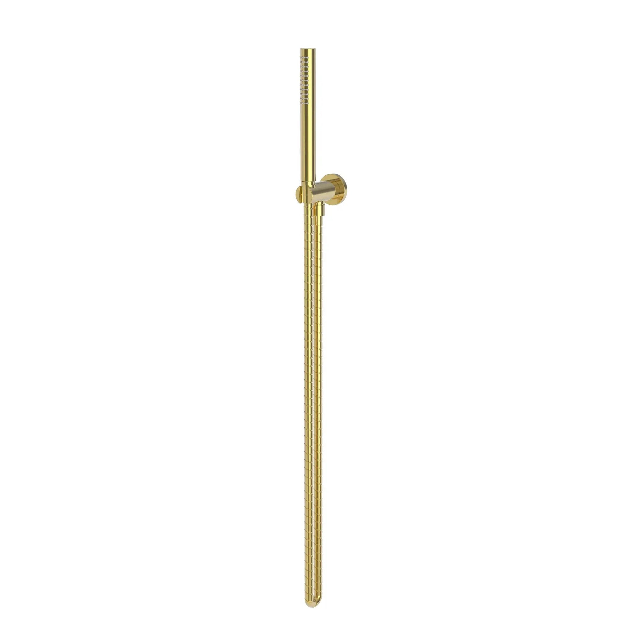 Newport Brass Tub & Shower Single Function Hand Shower Set by Newport Brass