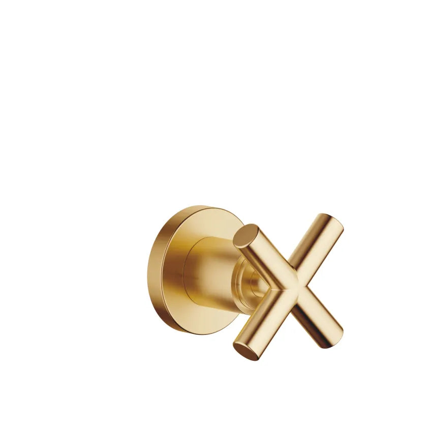 brushed durabrass (23kt gold) volume control