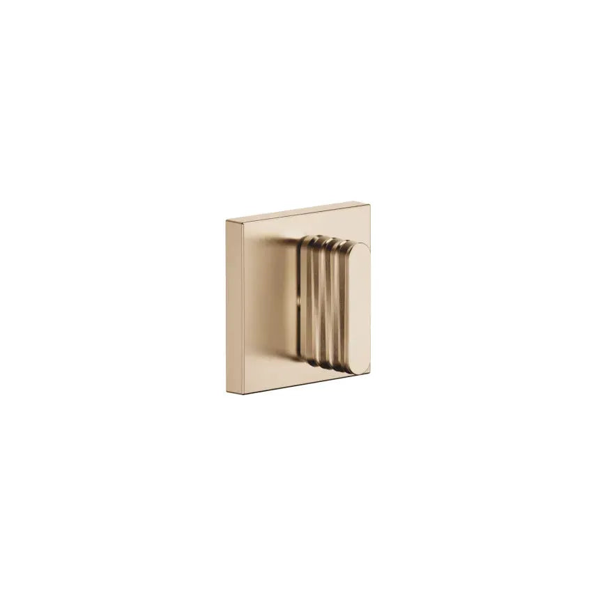 brushed champagne (22kt gold) volume control