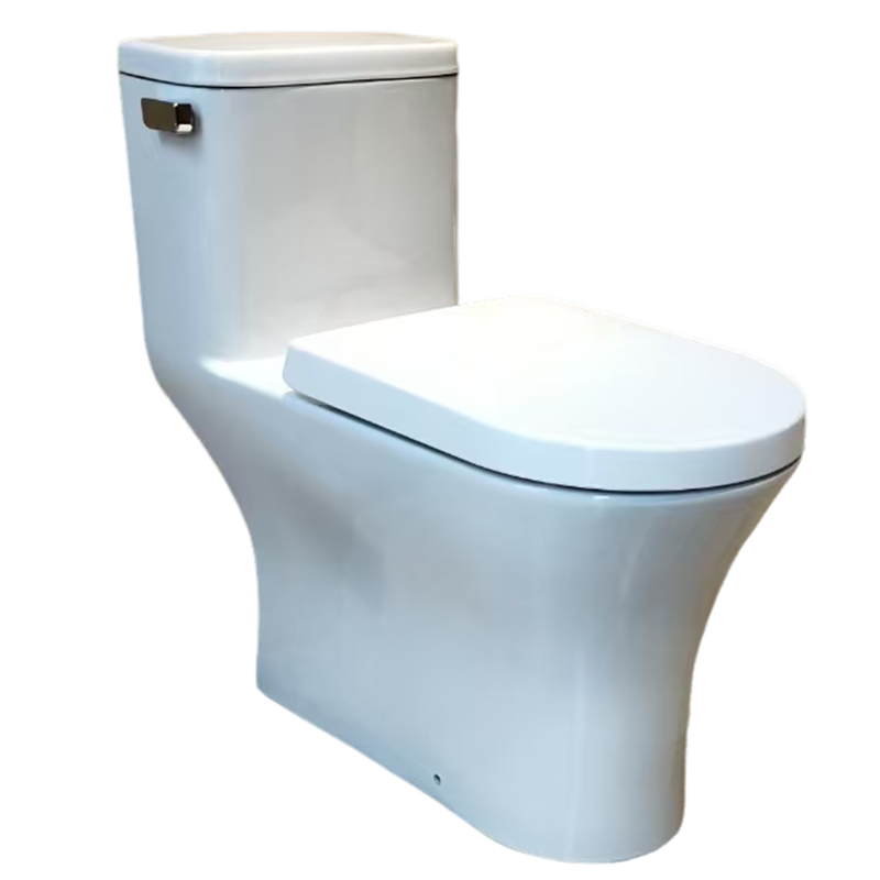 white one-piece toilet bowl