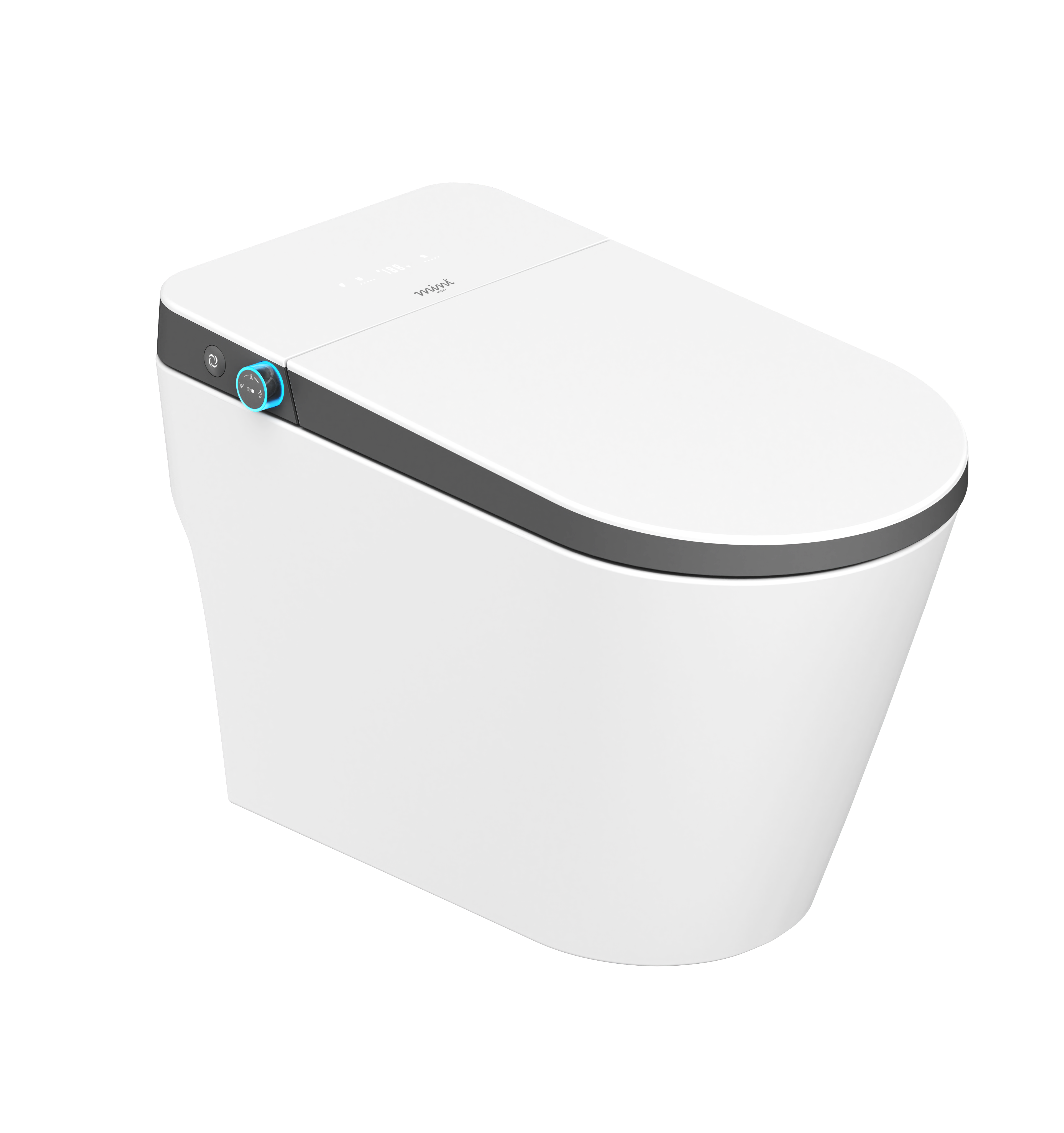 white/black smart toilet bowl