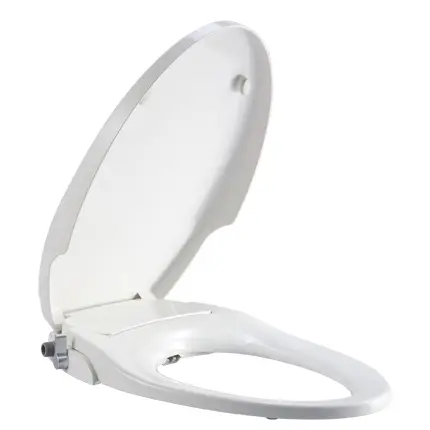 white toilet seat