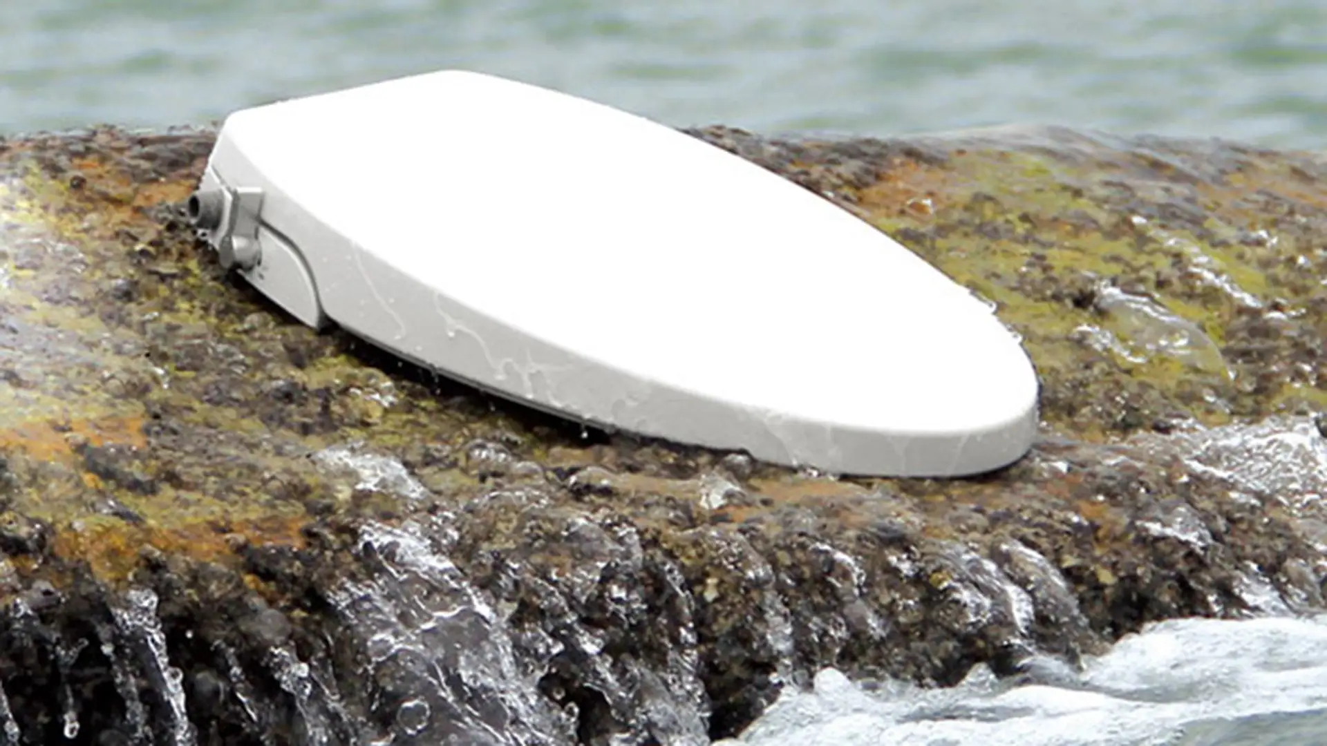 white toilet seat