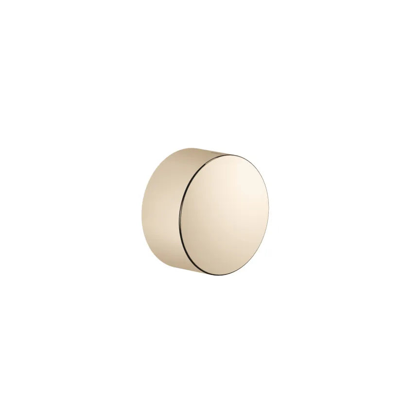 brushed champagne (22kt gold) volume control