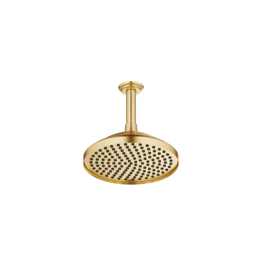 Dornbracht MADISON Rain Shower Ceiling-Mounted 7-7/8" by Dornbracht