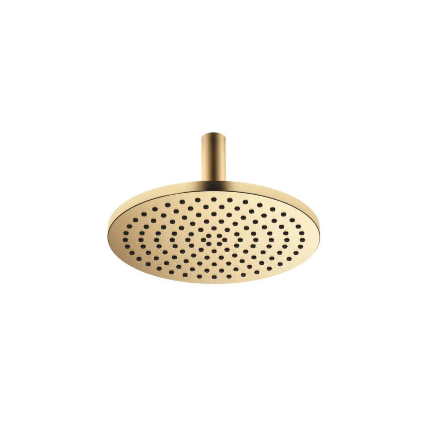 Dornbracht SERIES SPECIFIC Rain Shower Ceiling-Mounted 11-3/4"