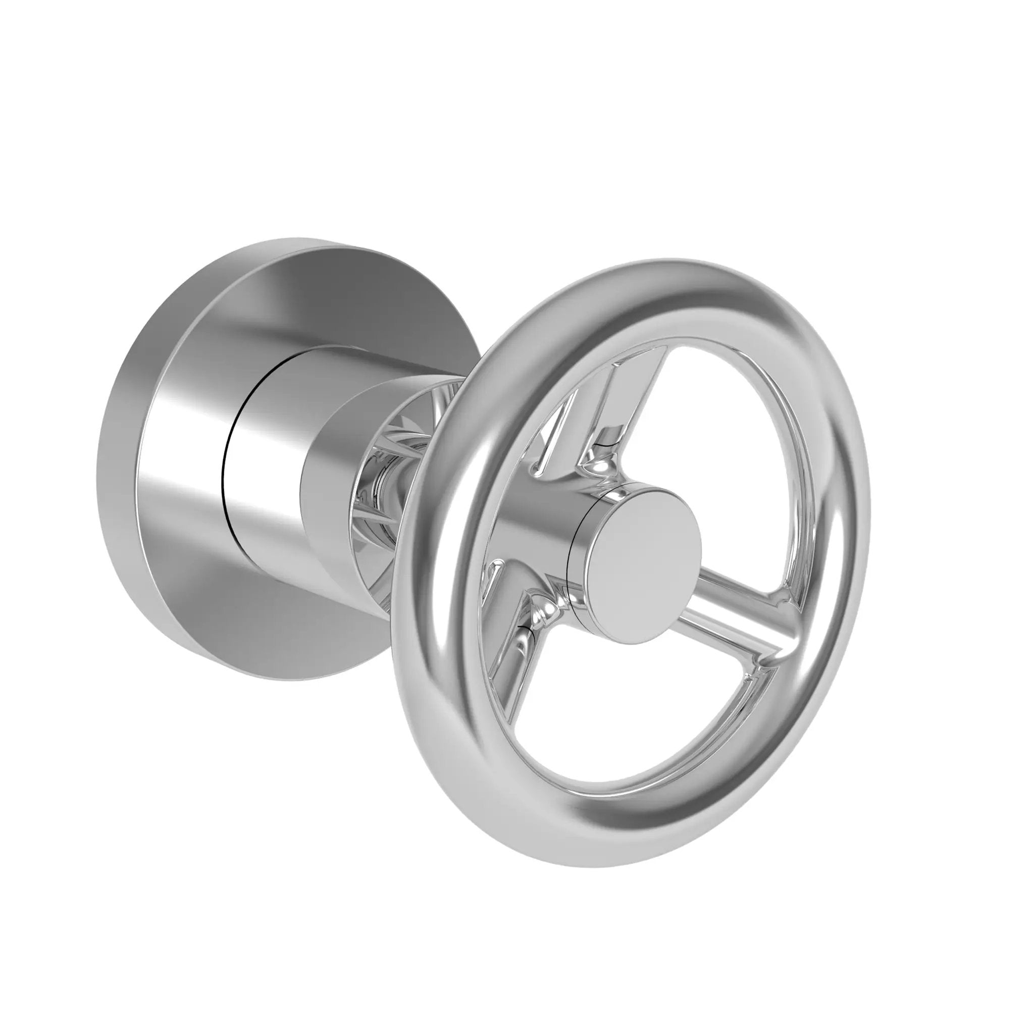 polished chrome control handle
