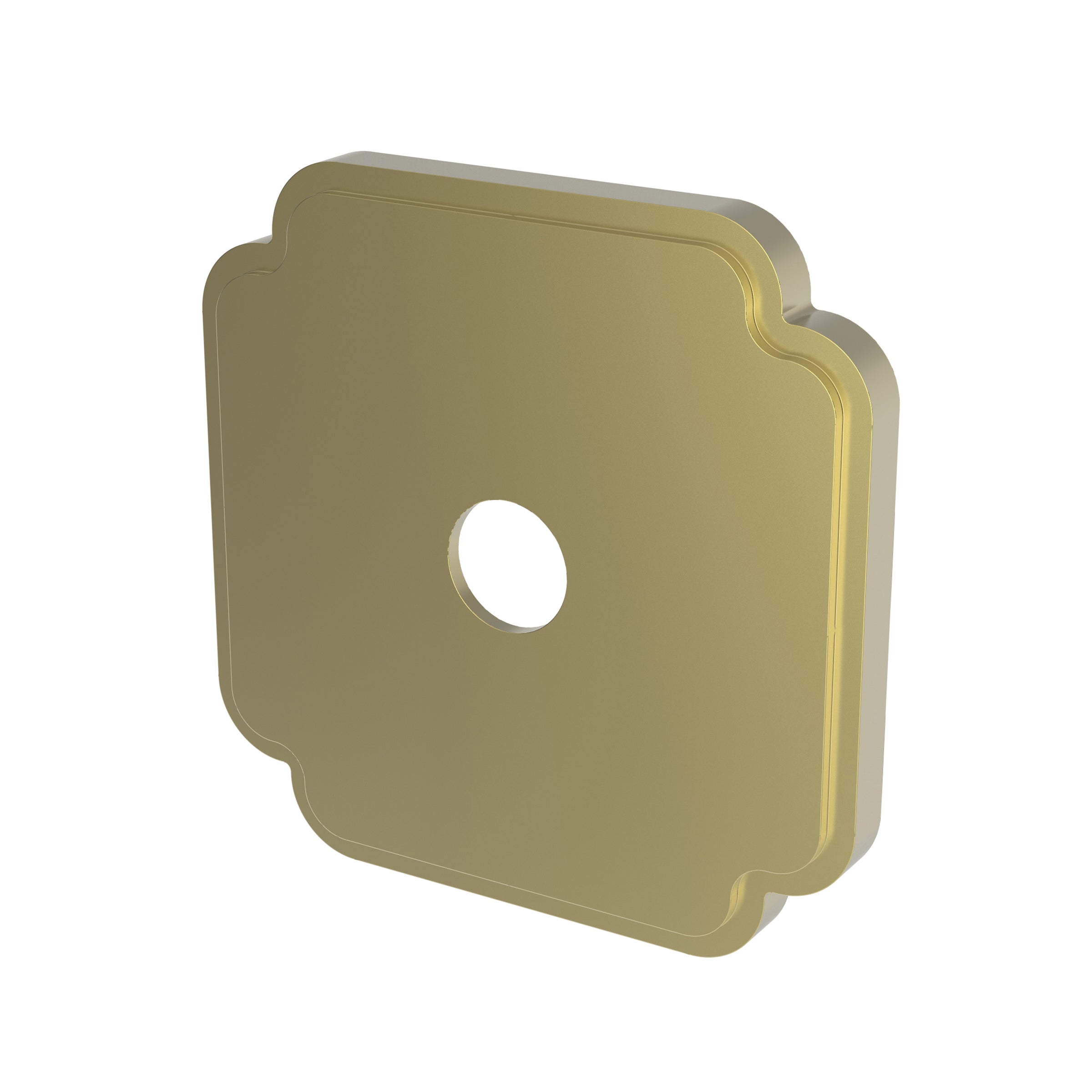 Newport Brass Tub & Shower Diverter Plate